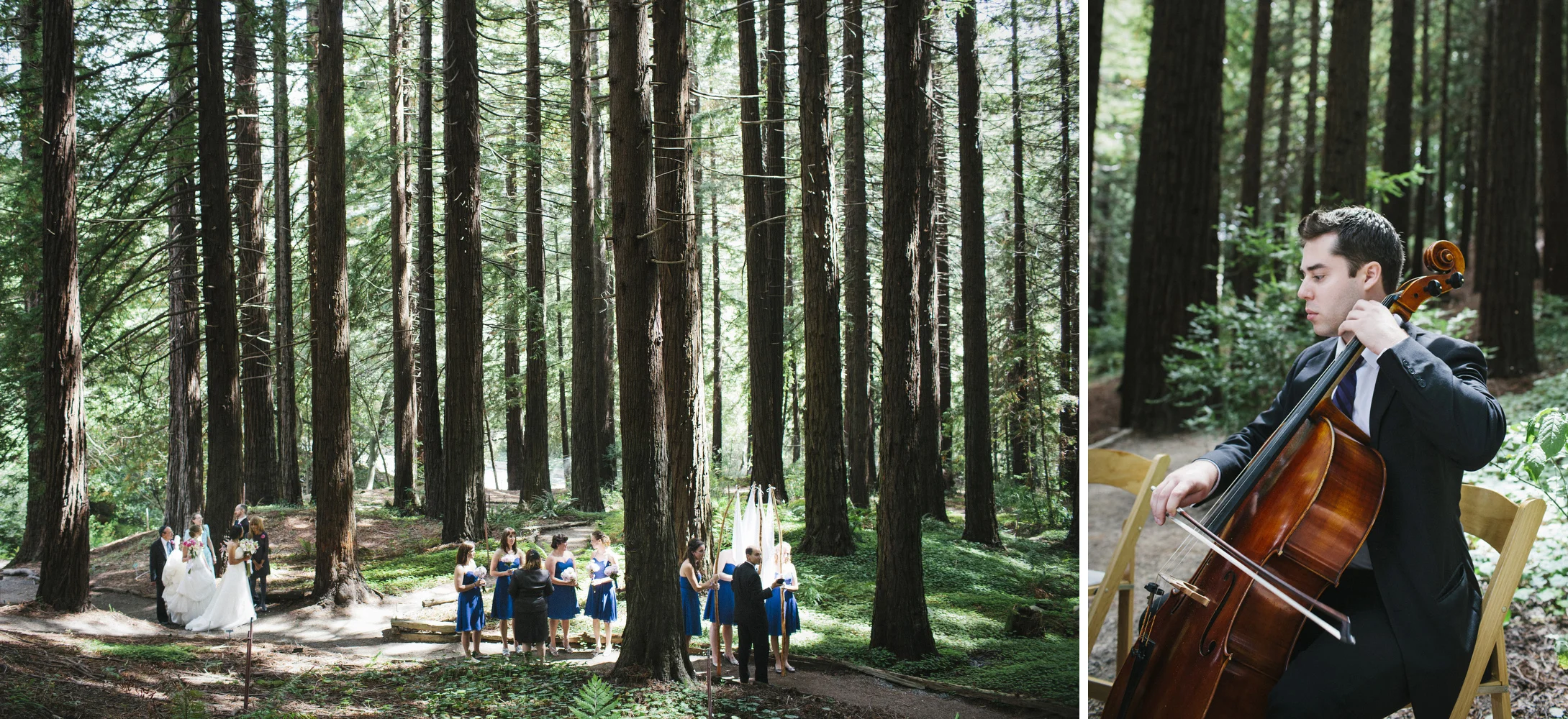 Standing in the redwood grove before the start of the ceremony. 