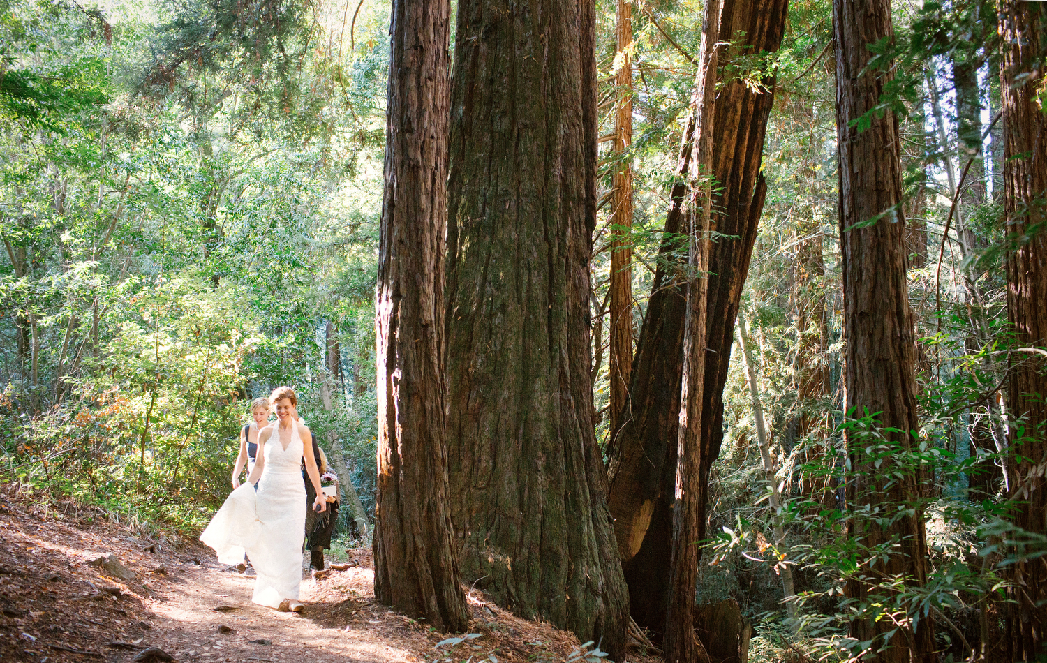 Sheridan and Lynda walking through the redwood forest to the ceremony site in their wedding dresses. 