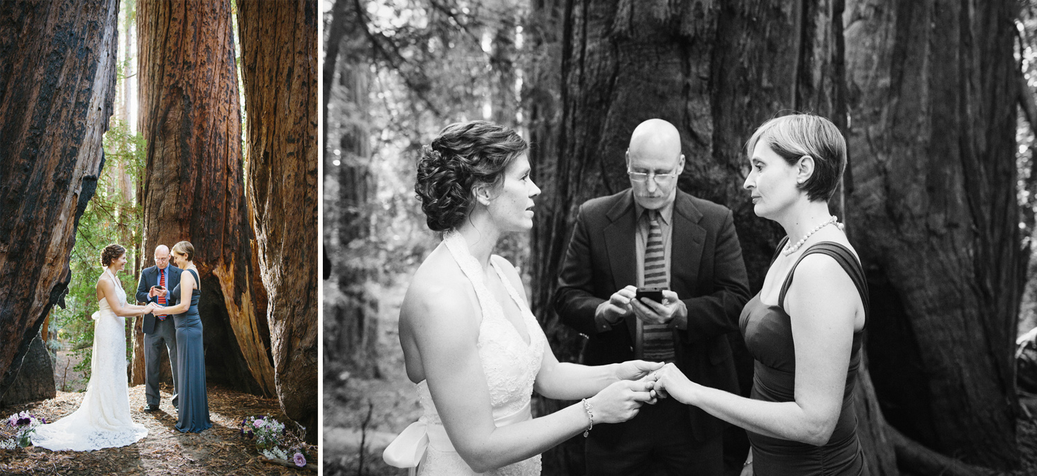 The wedding ceremony amongst the redwoods in Big Sur. 