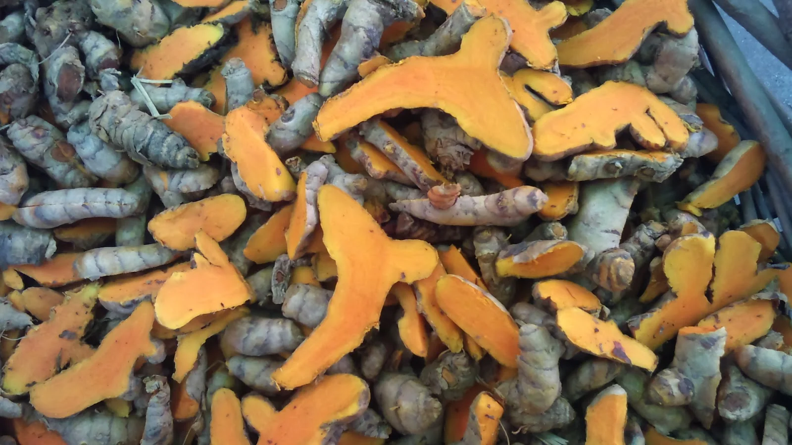 Sliced Turmeric Too.jpg