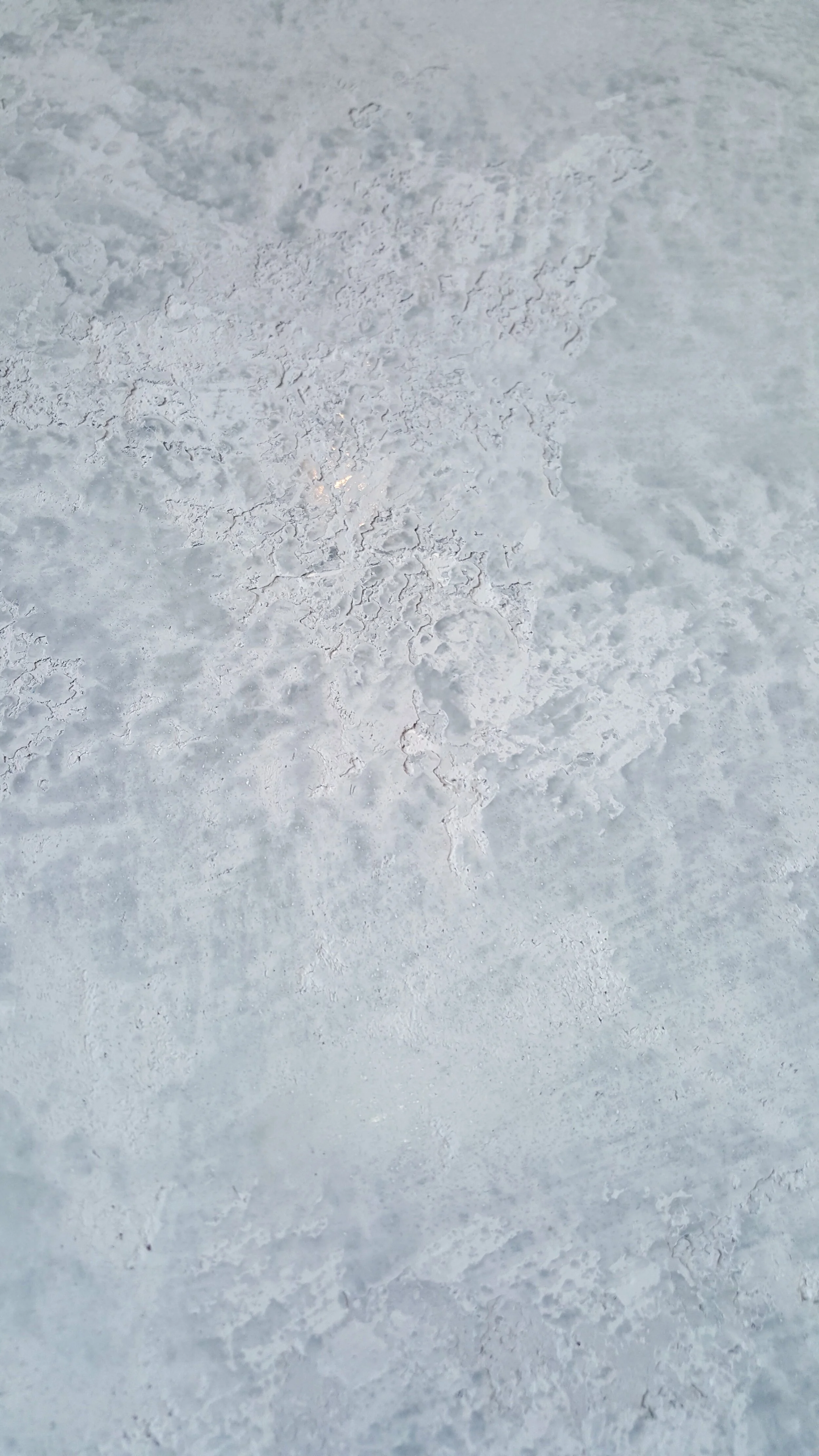 20160330_161007.jpg