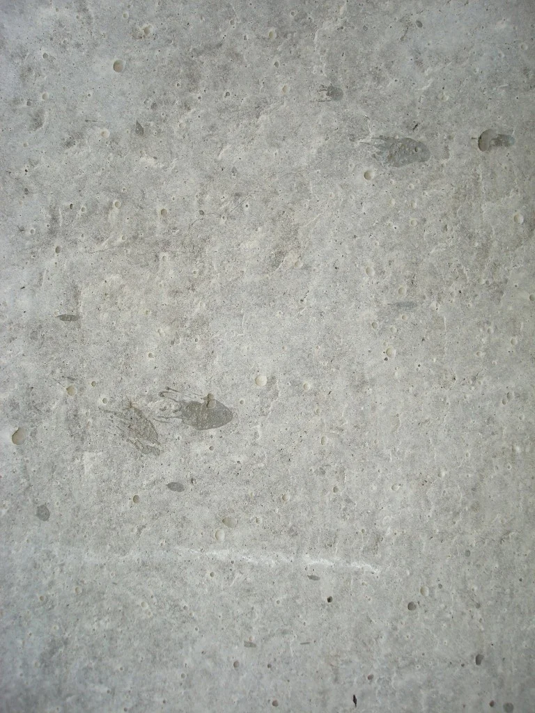 concrete.jpg