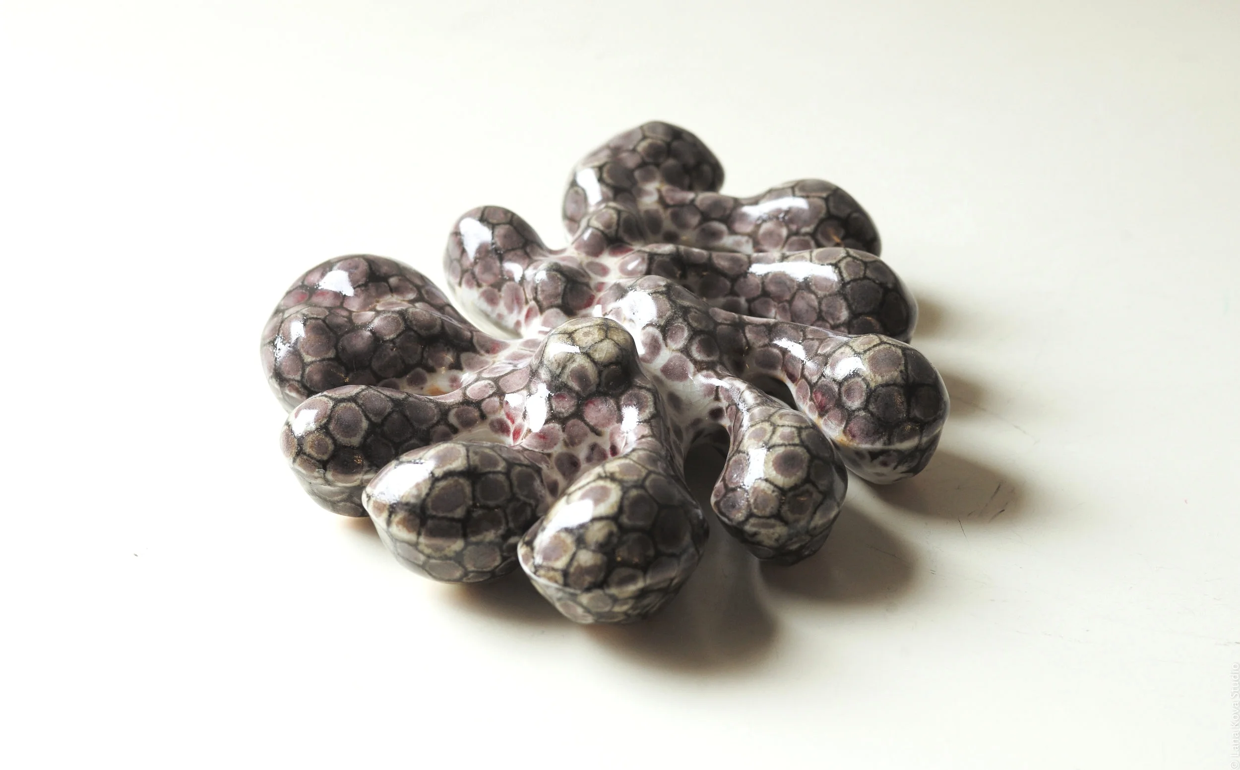 Cells rotation