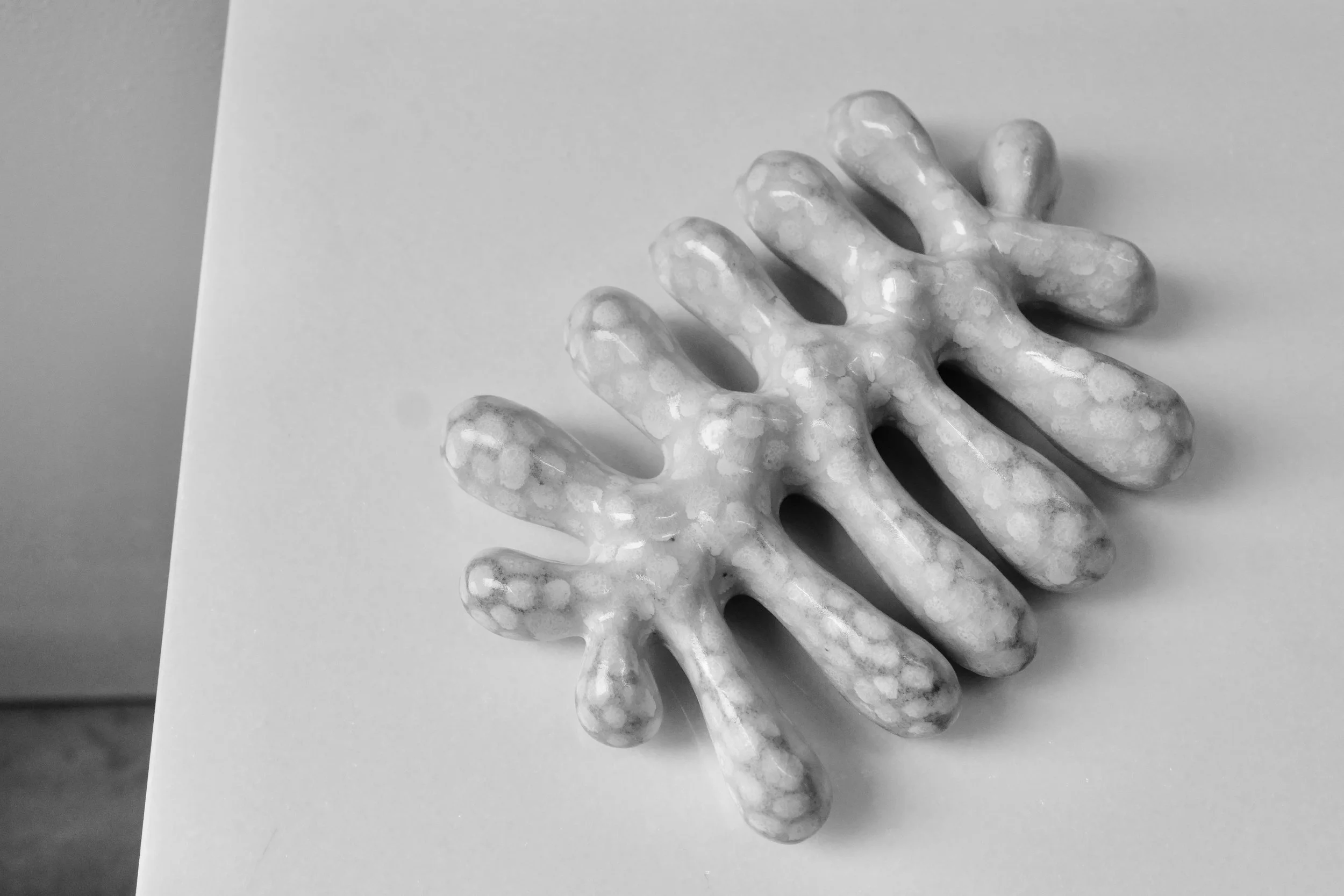 9F0E0B83-EDBD-472C-A18B-9D7D962E6E16_1_201_a.jpeg