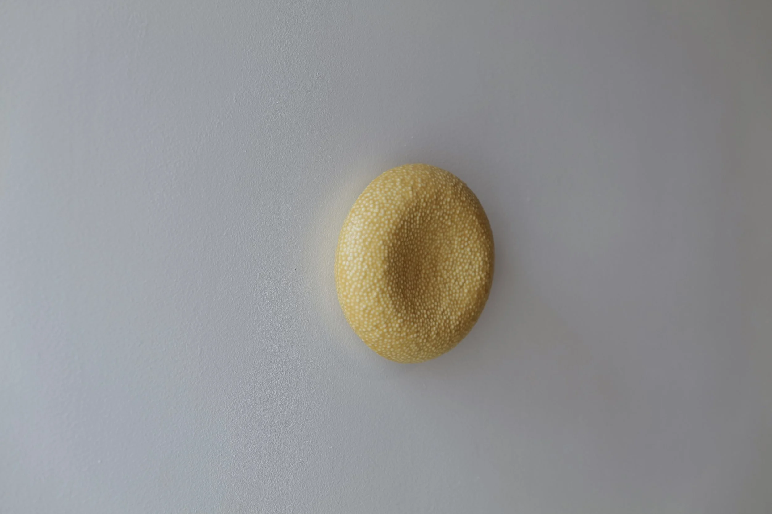 L1140758.JPG
