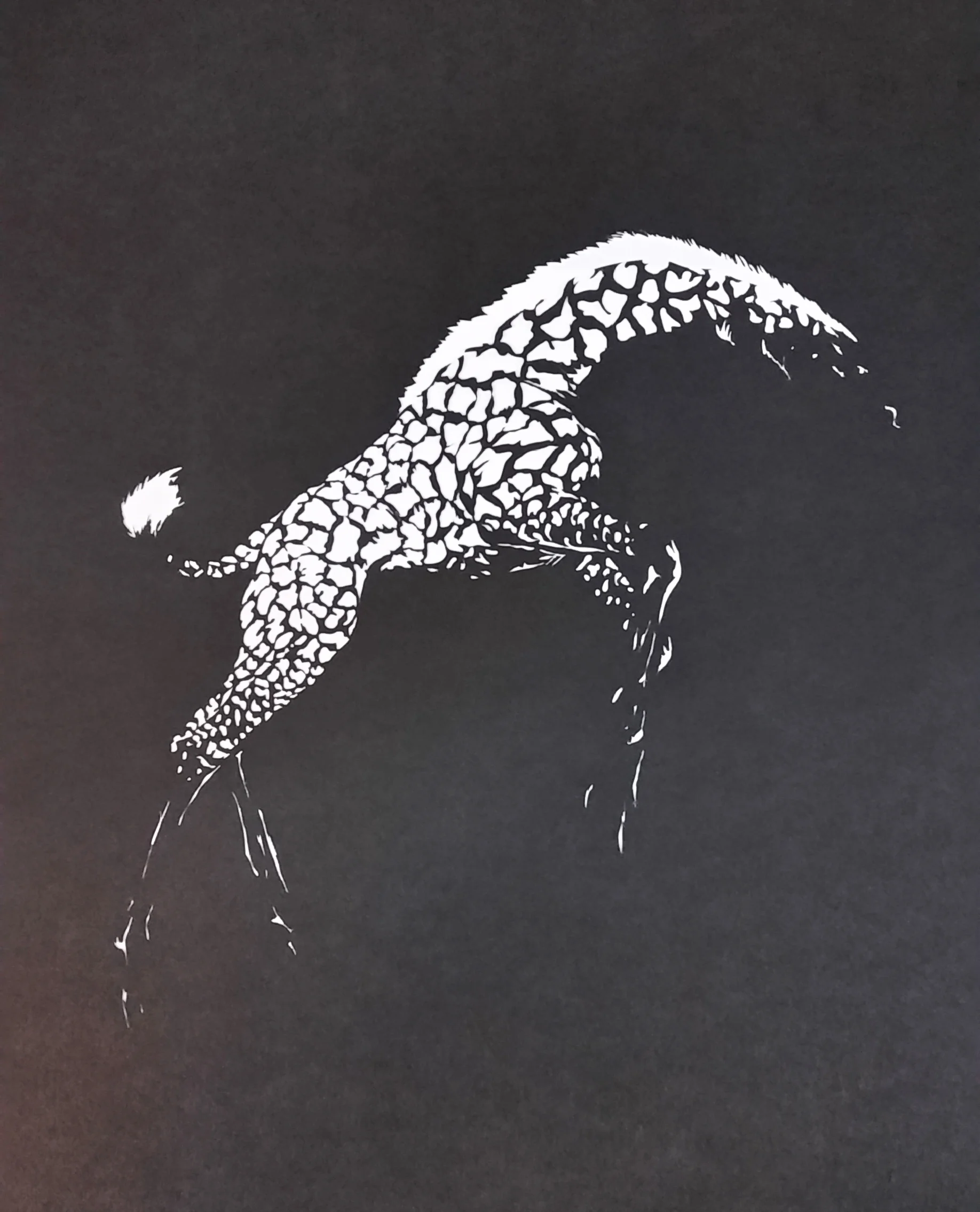 2015-09-17 15.14.36.jpg