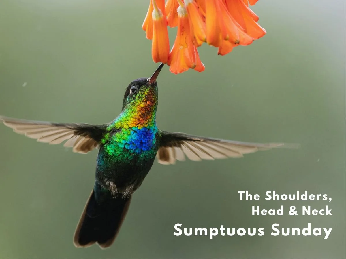 Sumptuous Sunday - March 2026