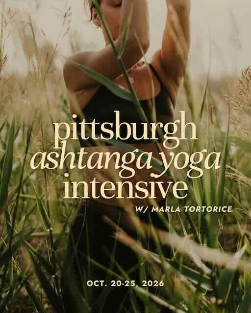 Pittsburgh Ashtanga Yoga Intensive