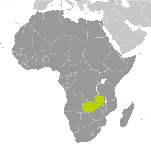 zambia.jpg