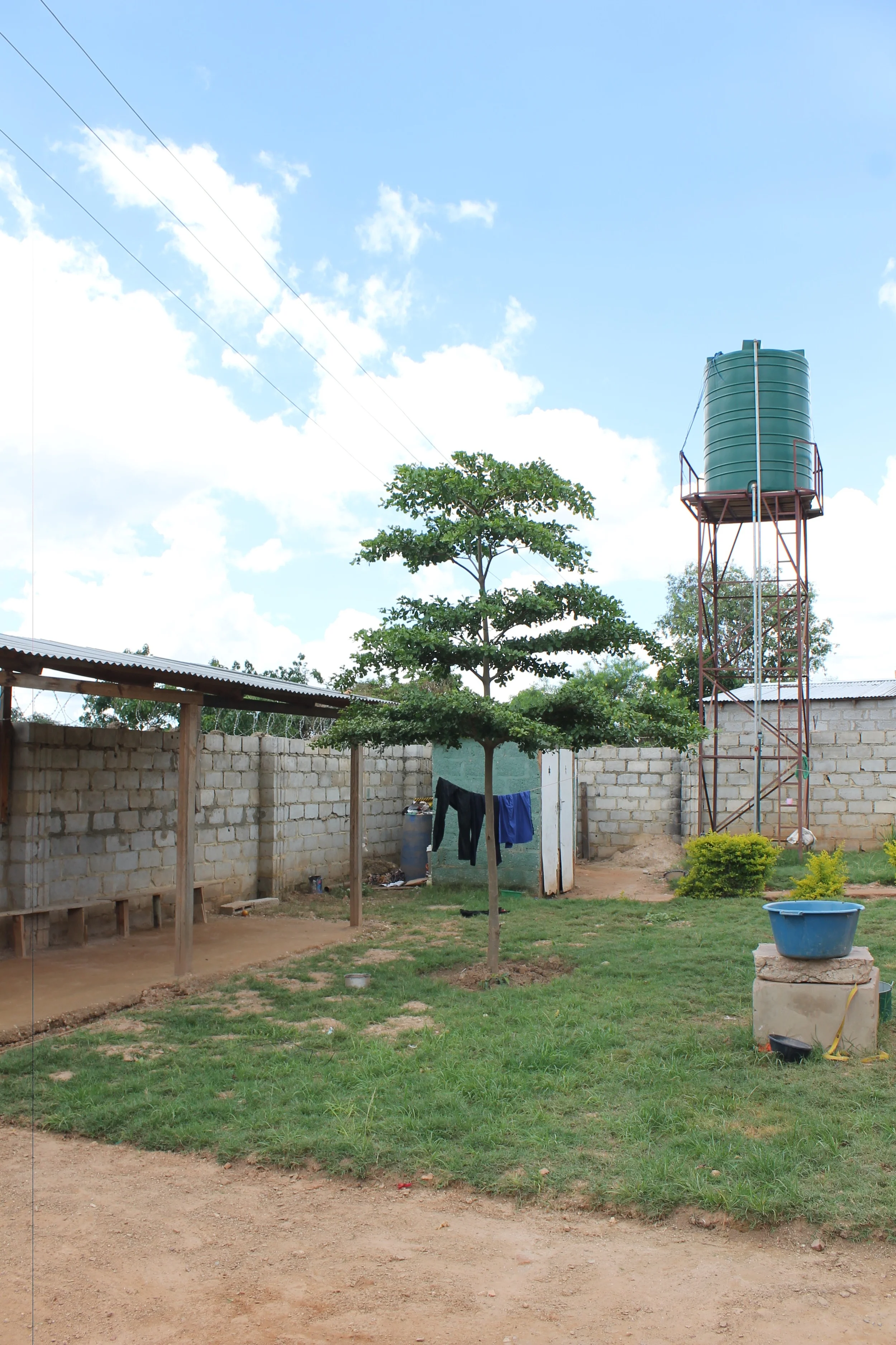 They can bathe with our clean water (from that big green tank) if they are out of water at home.