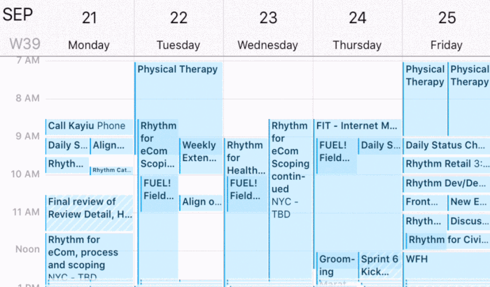 Bottleneck_Calendar.gif