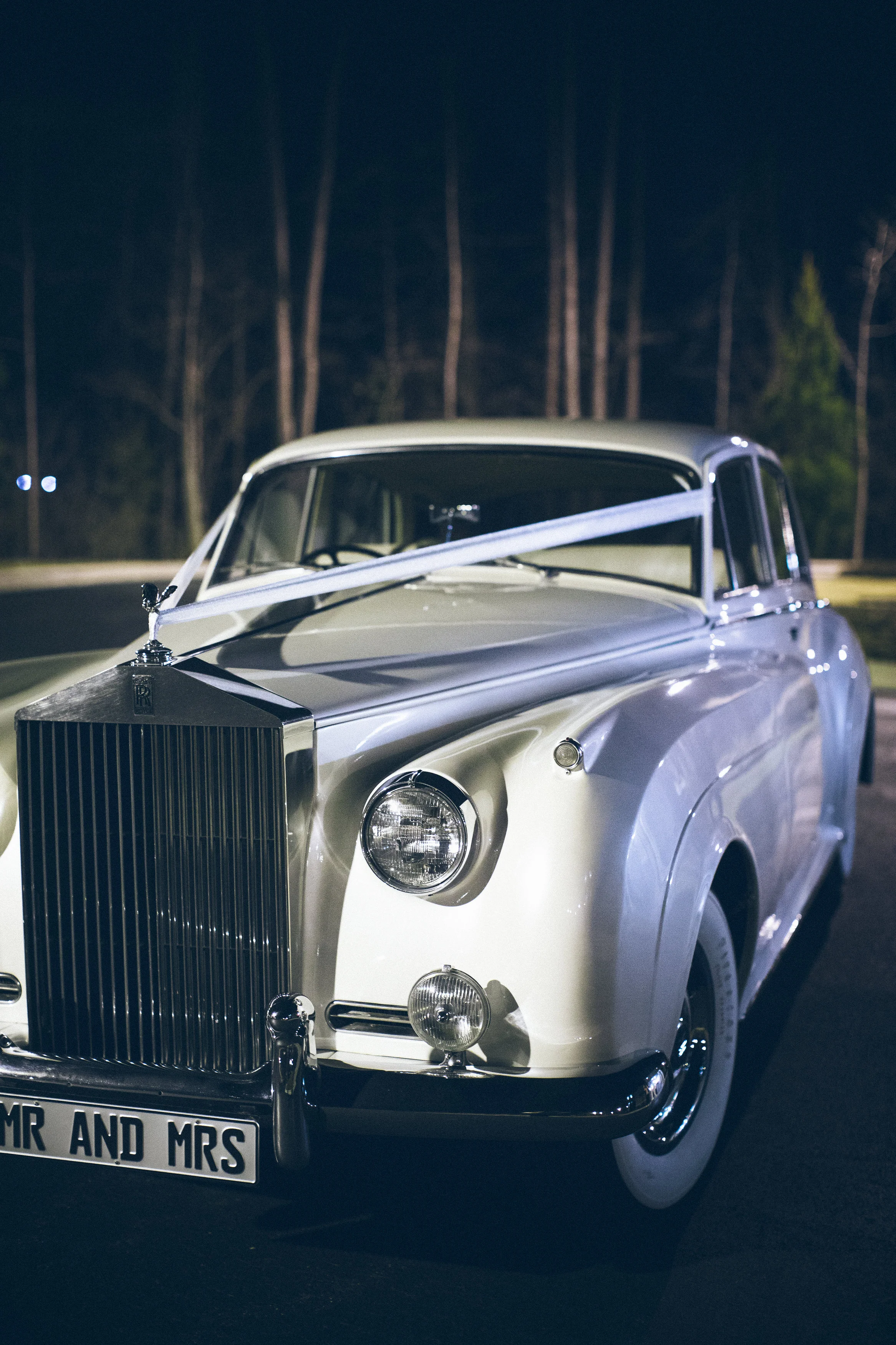 View More: http://laurenrosenauphoto.pass.us/whitleyanddarian