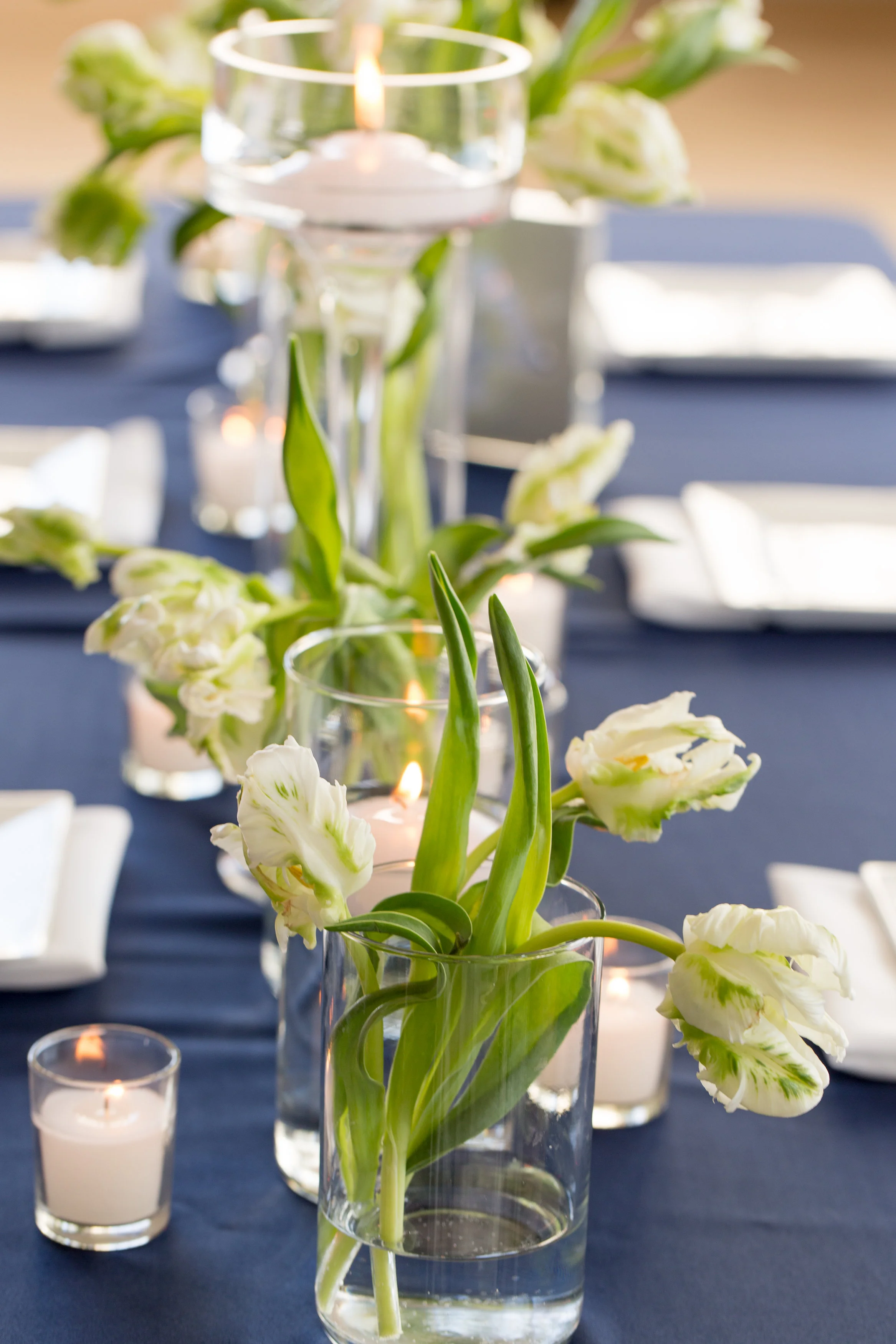 View More: http://laurenrosenauphoto.pass.us/katieanderic