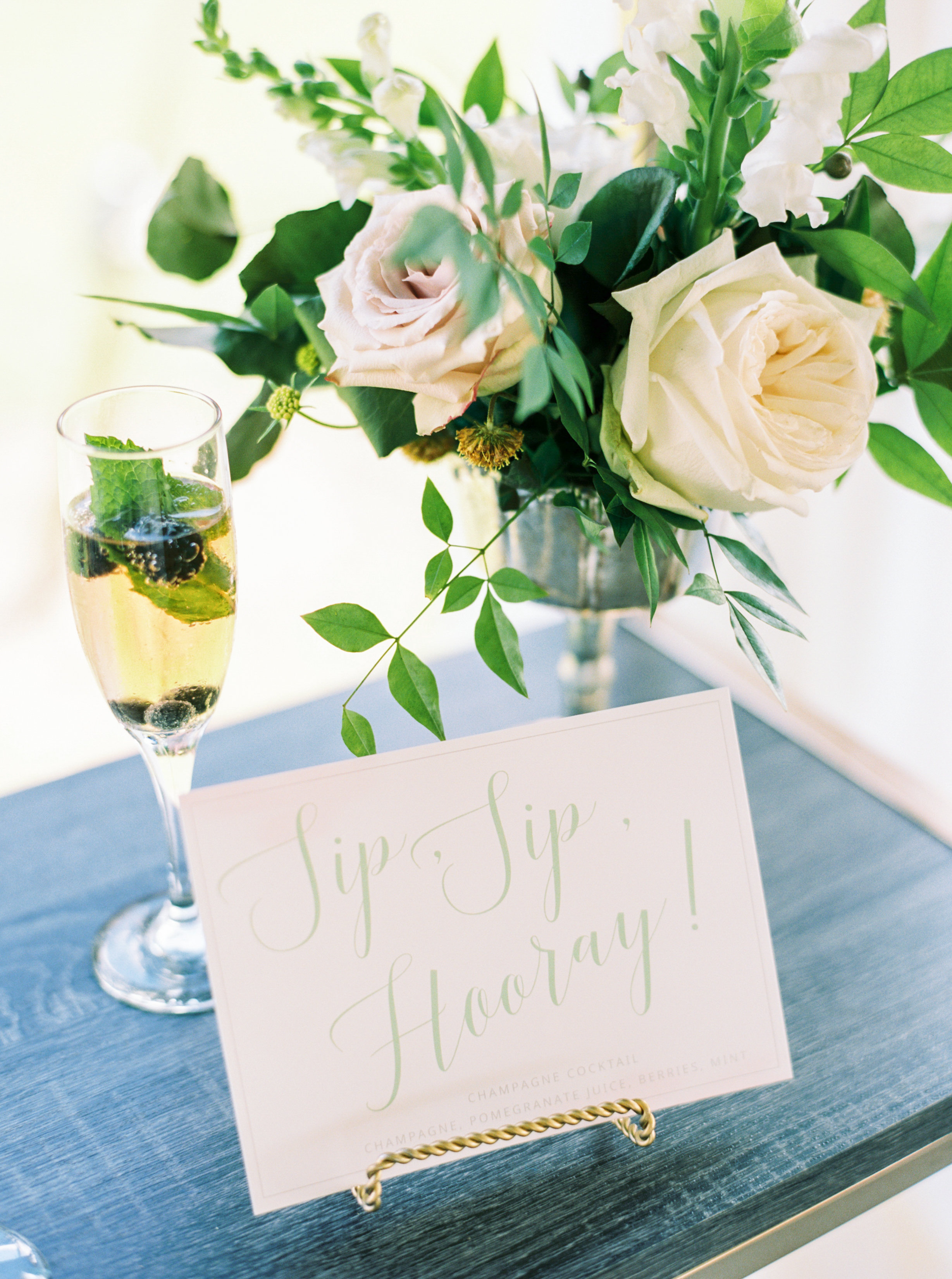 Champagne Manor - Charlotte NC Wedding - Perry Vaile Photography-033.jpg