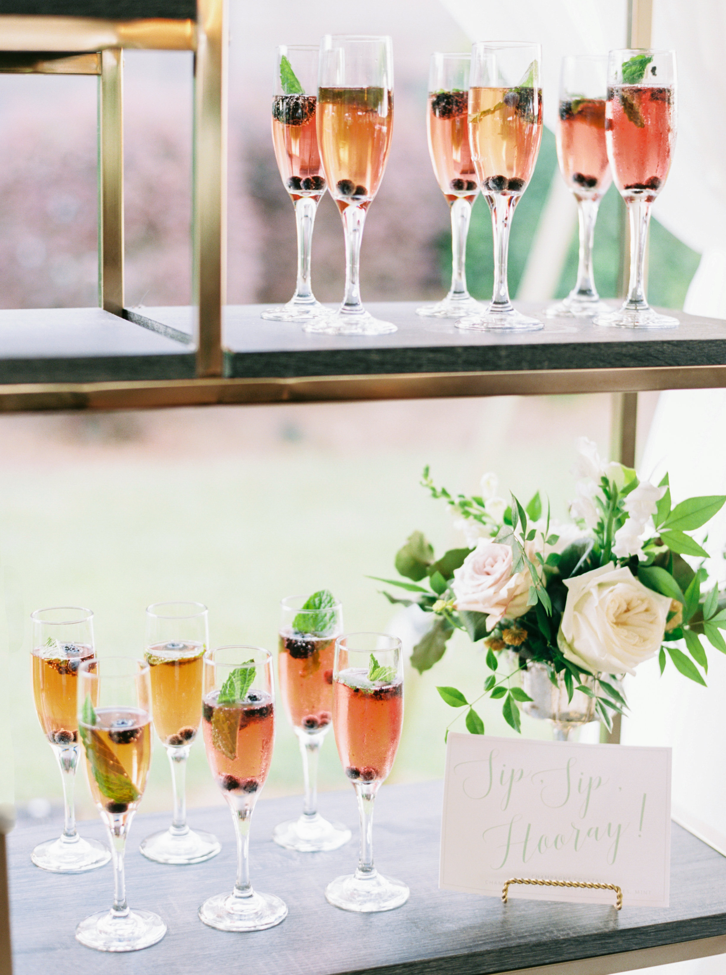 Champagne Manor - Charlotte NC Wedding - Perry Vaile Photography-072.jpg
