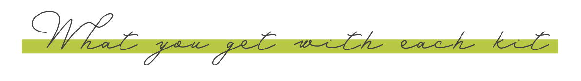 Website-Phrases-05.png