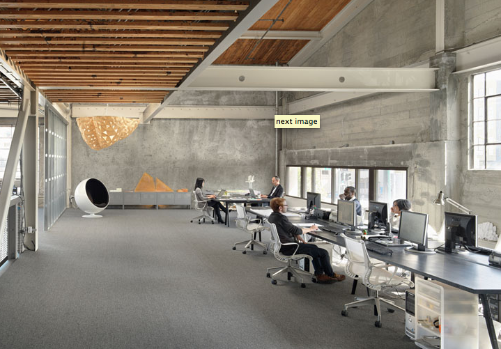 Contemporary Office fit out