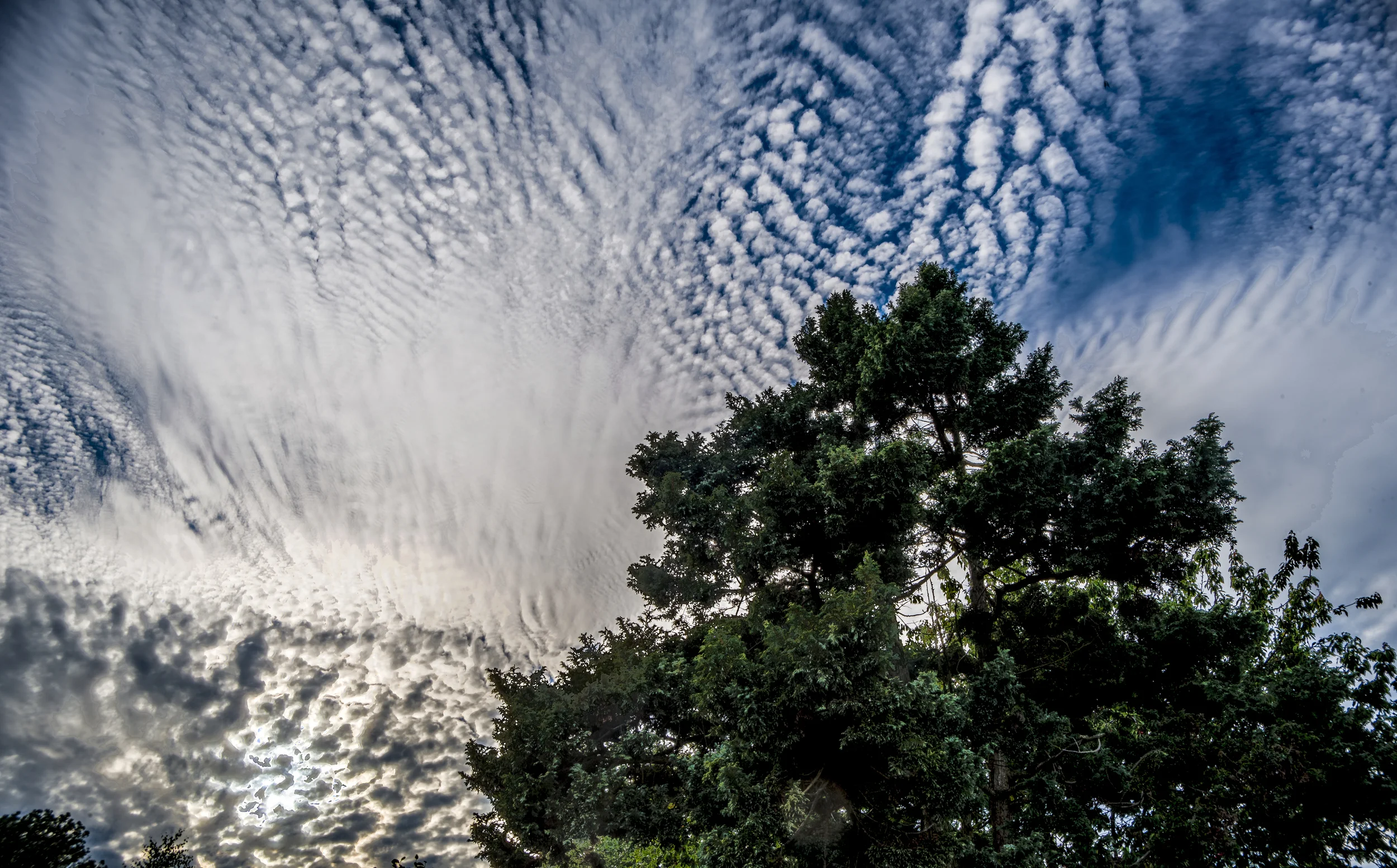 Amazing Skies copy 2.jpg