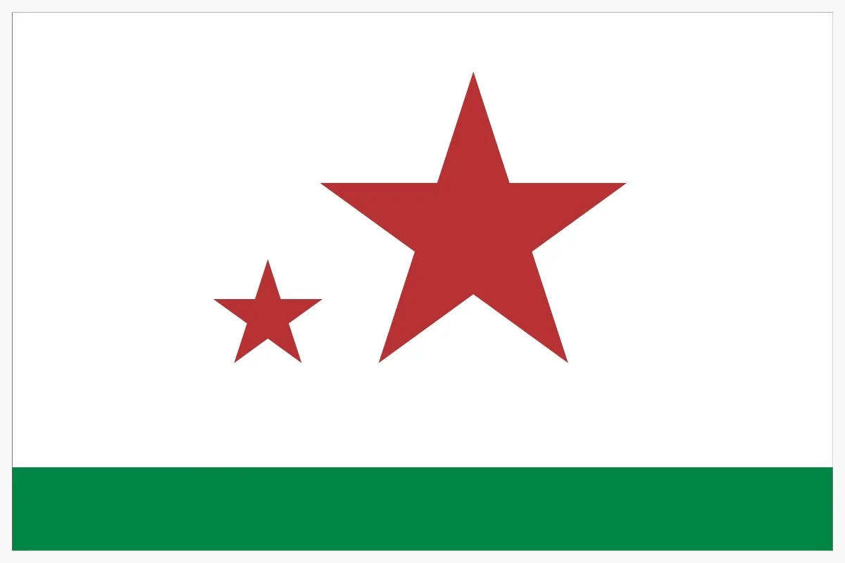 The Flag of Davis California.001.jpg