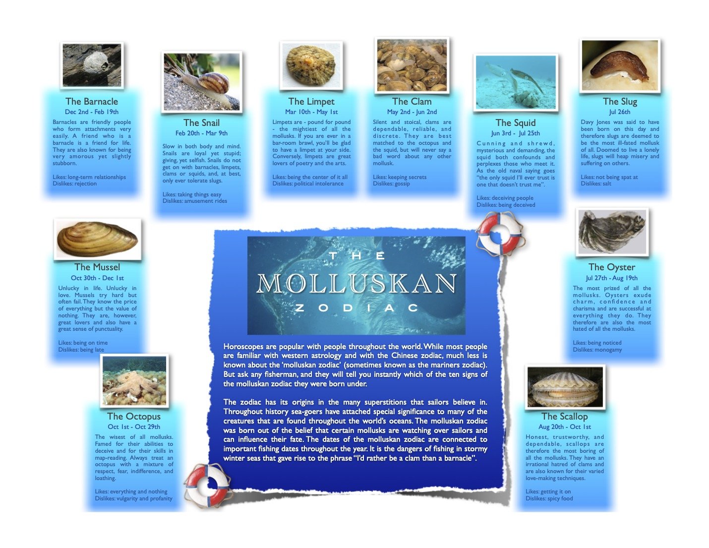 The Molluskan Zodiac: a poster showing ten mollusk star signs, each with a photo, date range, personality description, and likes and dislikes, arranged around an introductory panel in the centre.
