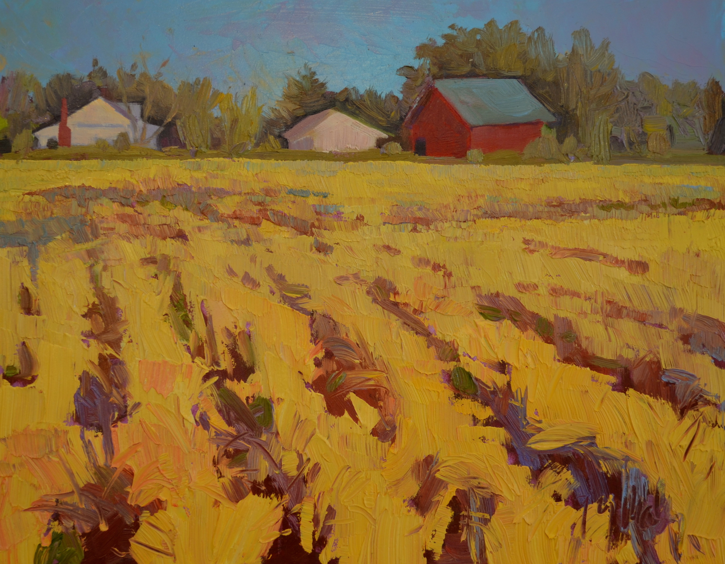 "Golden Field of Autumn"