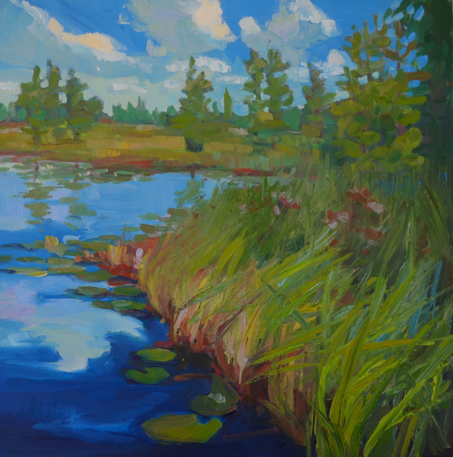"Marsh"