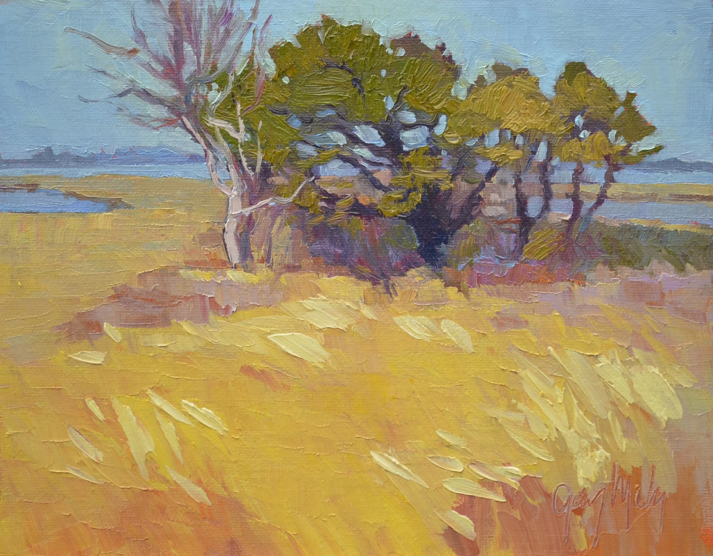 "Back Bay Hummock"