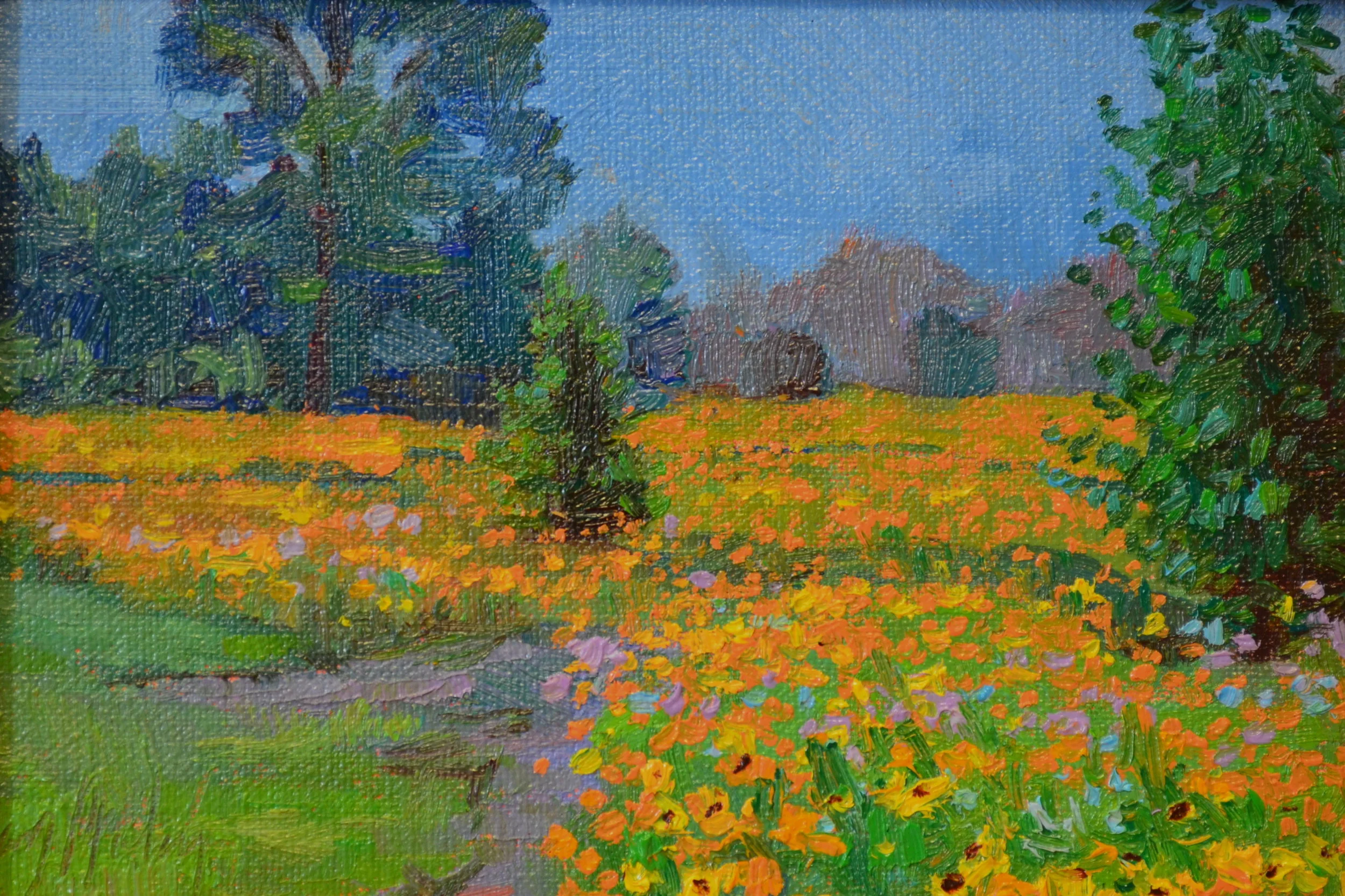 "Wild Flowers Galore"