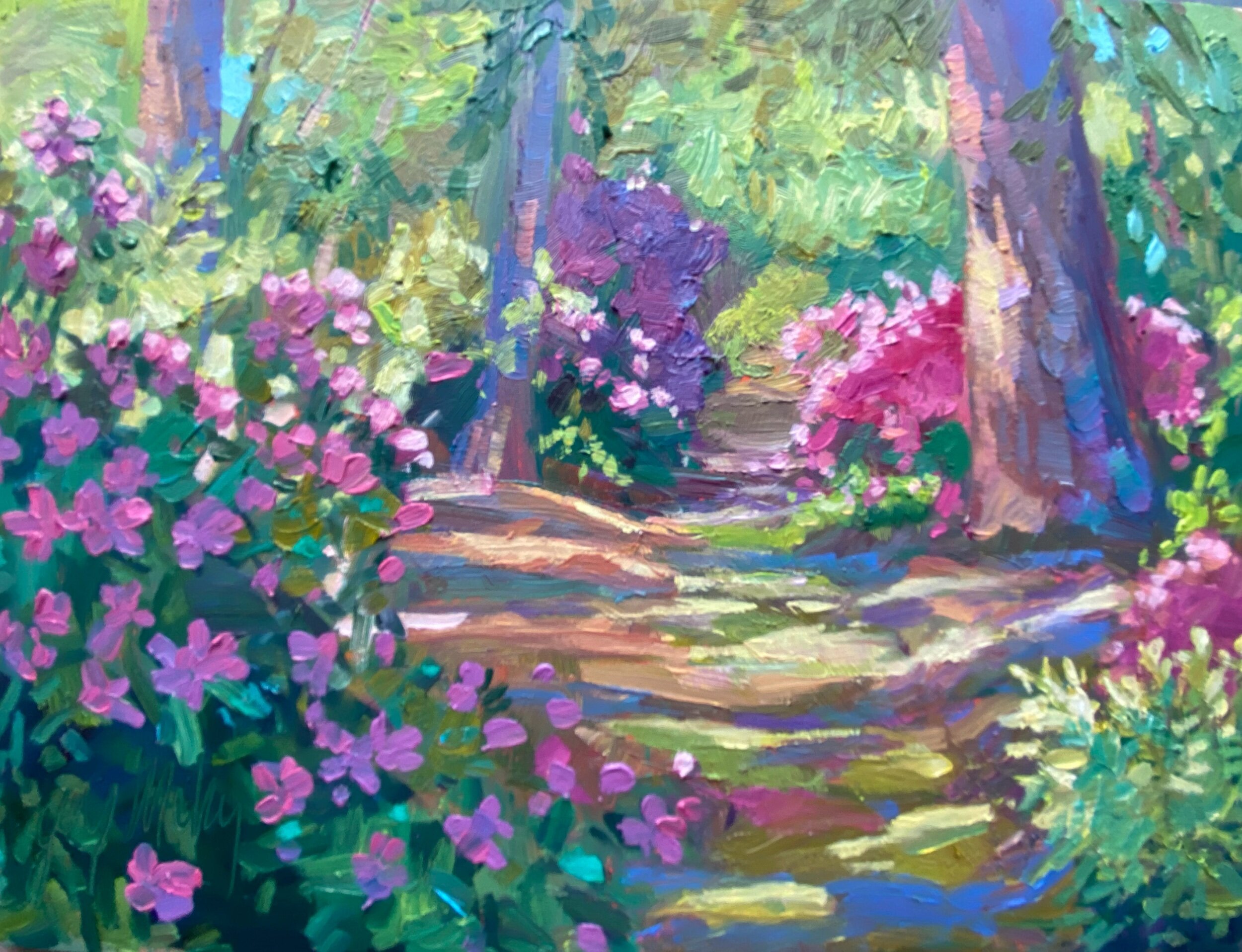 A Walk In The Woods