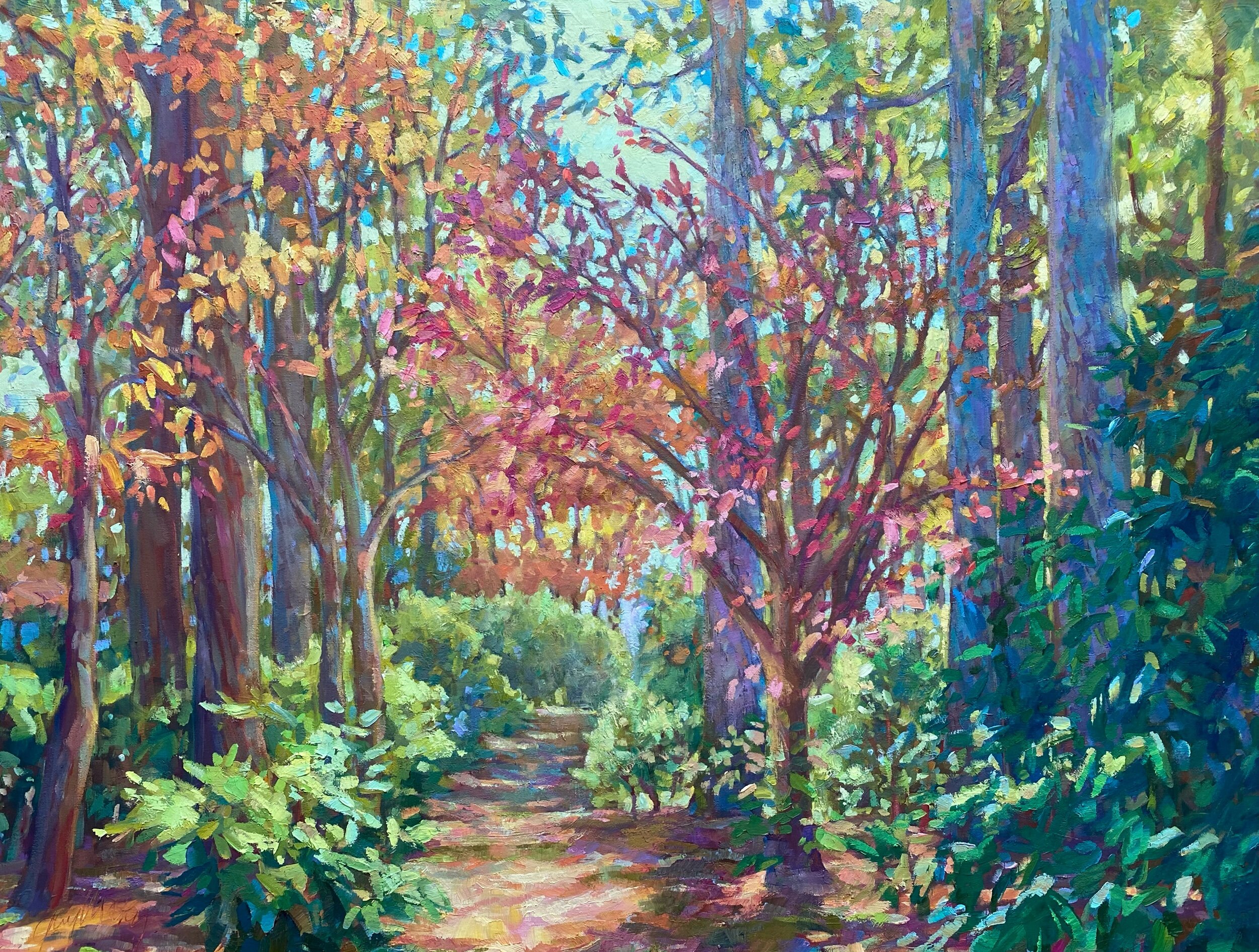 A WALK IN THE WOODS