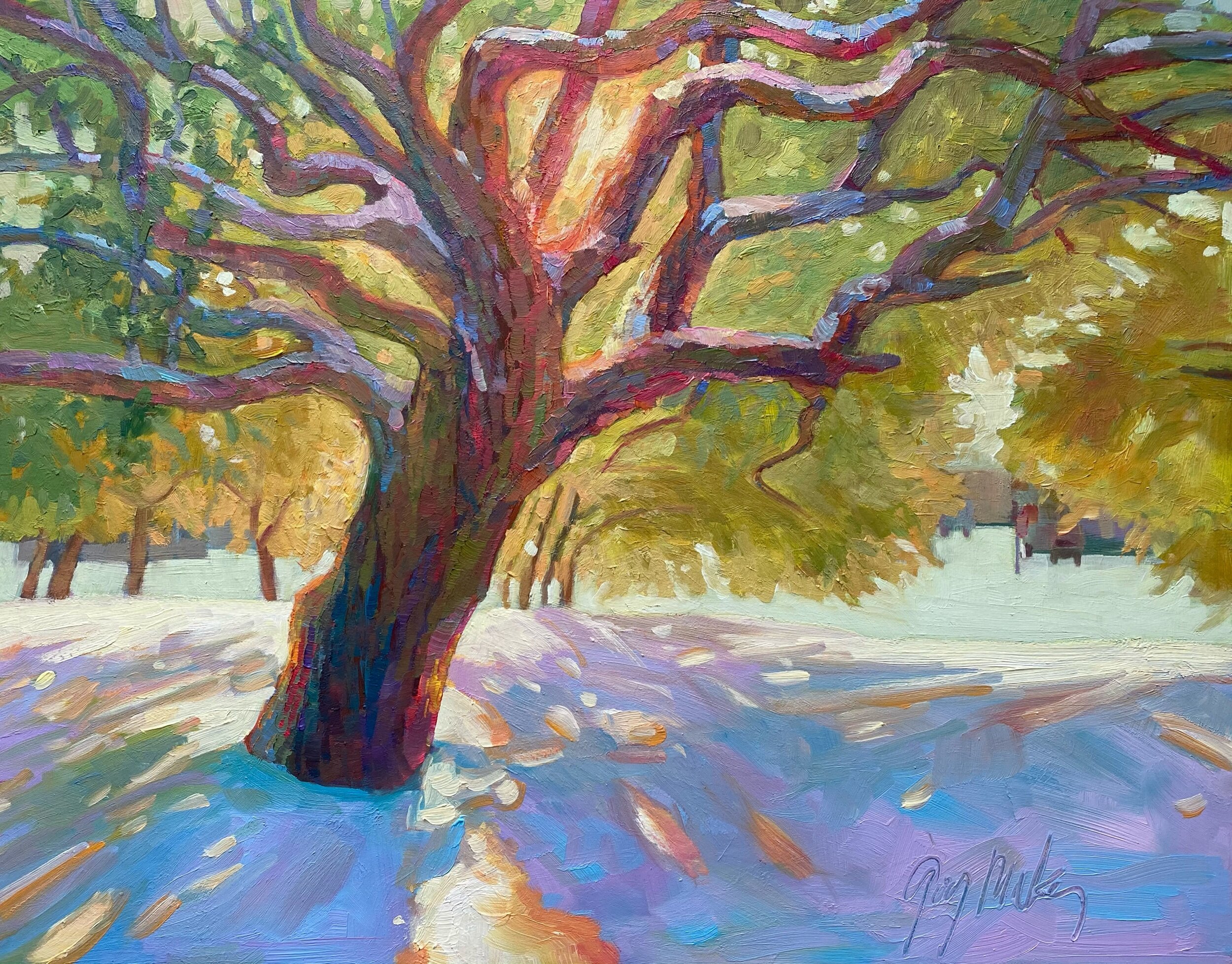 “WINTER SUN RISING”