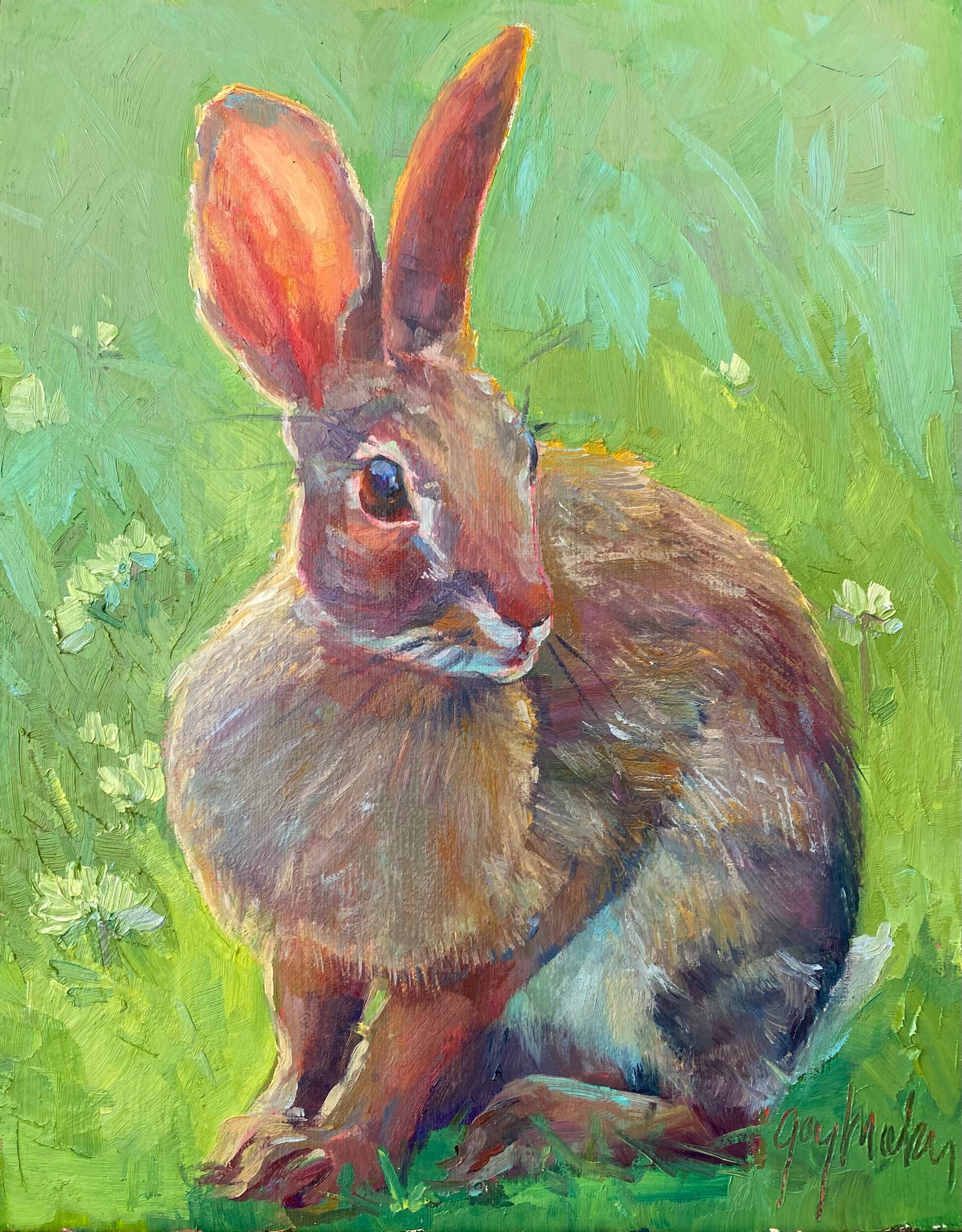 Rabbit In Spring