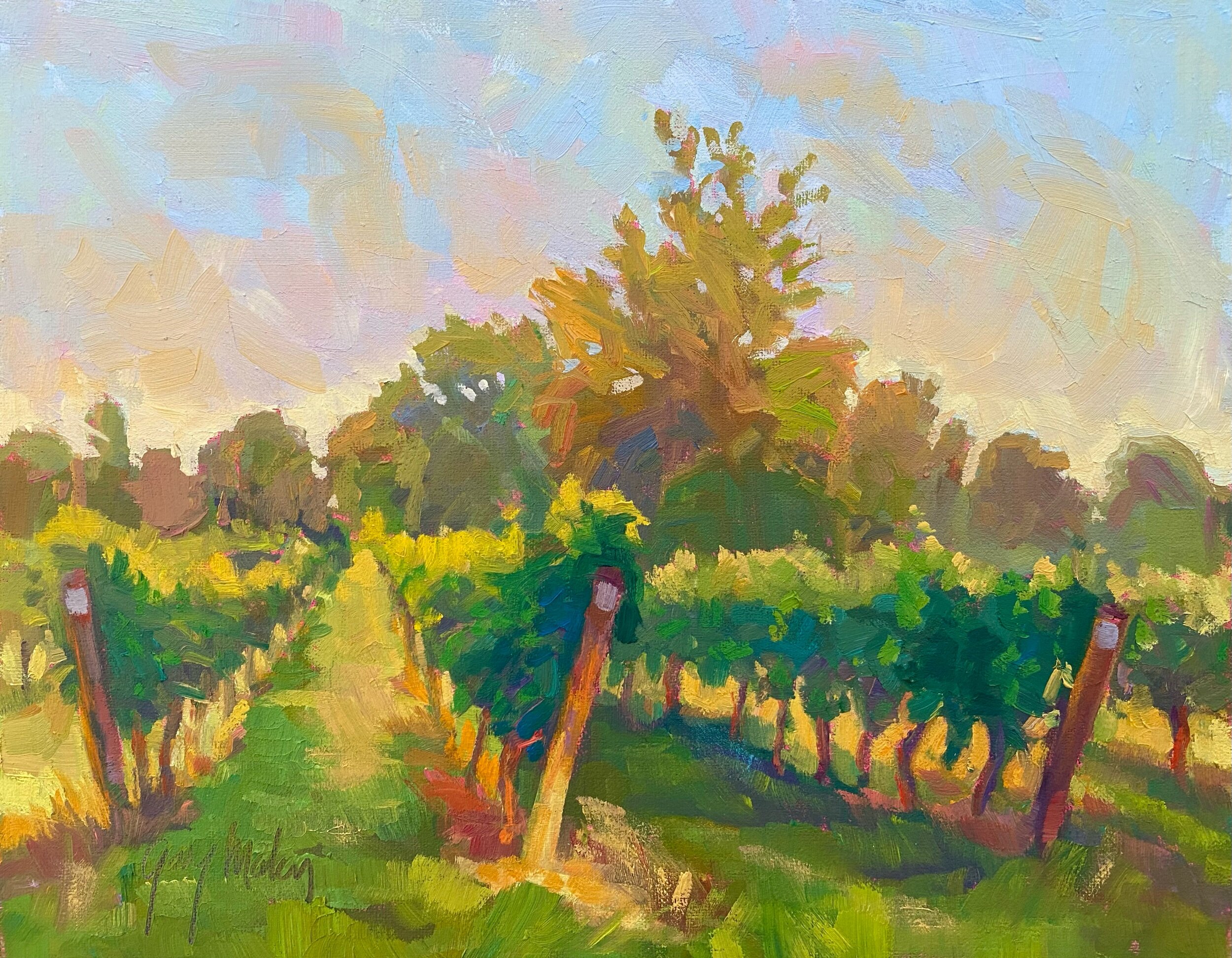 “VINEYARD HOLIDAY”