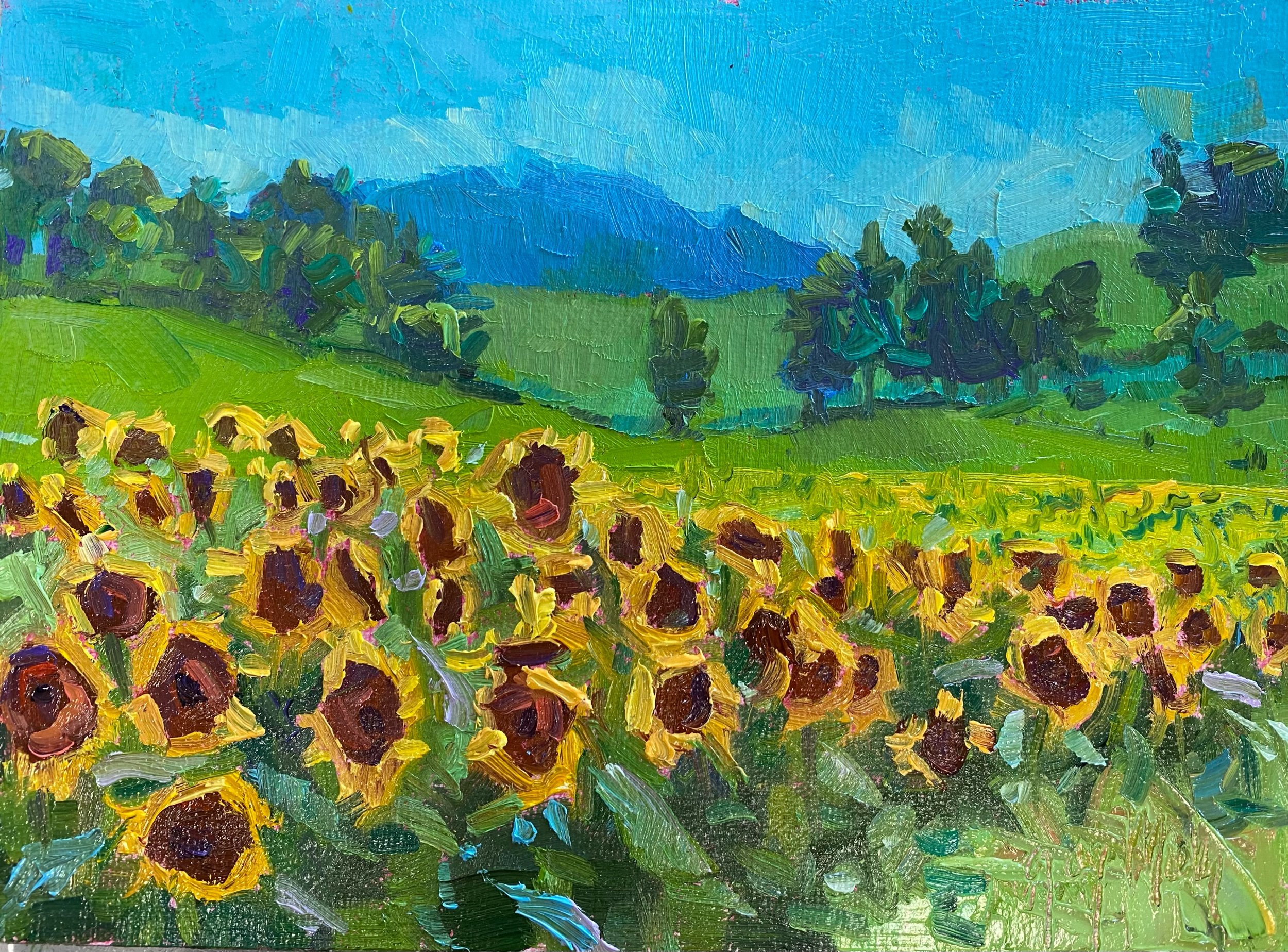 “IN A FIELD OF SUNFLOWERS”