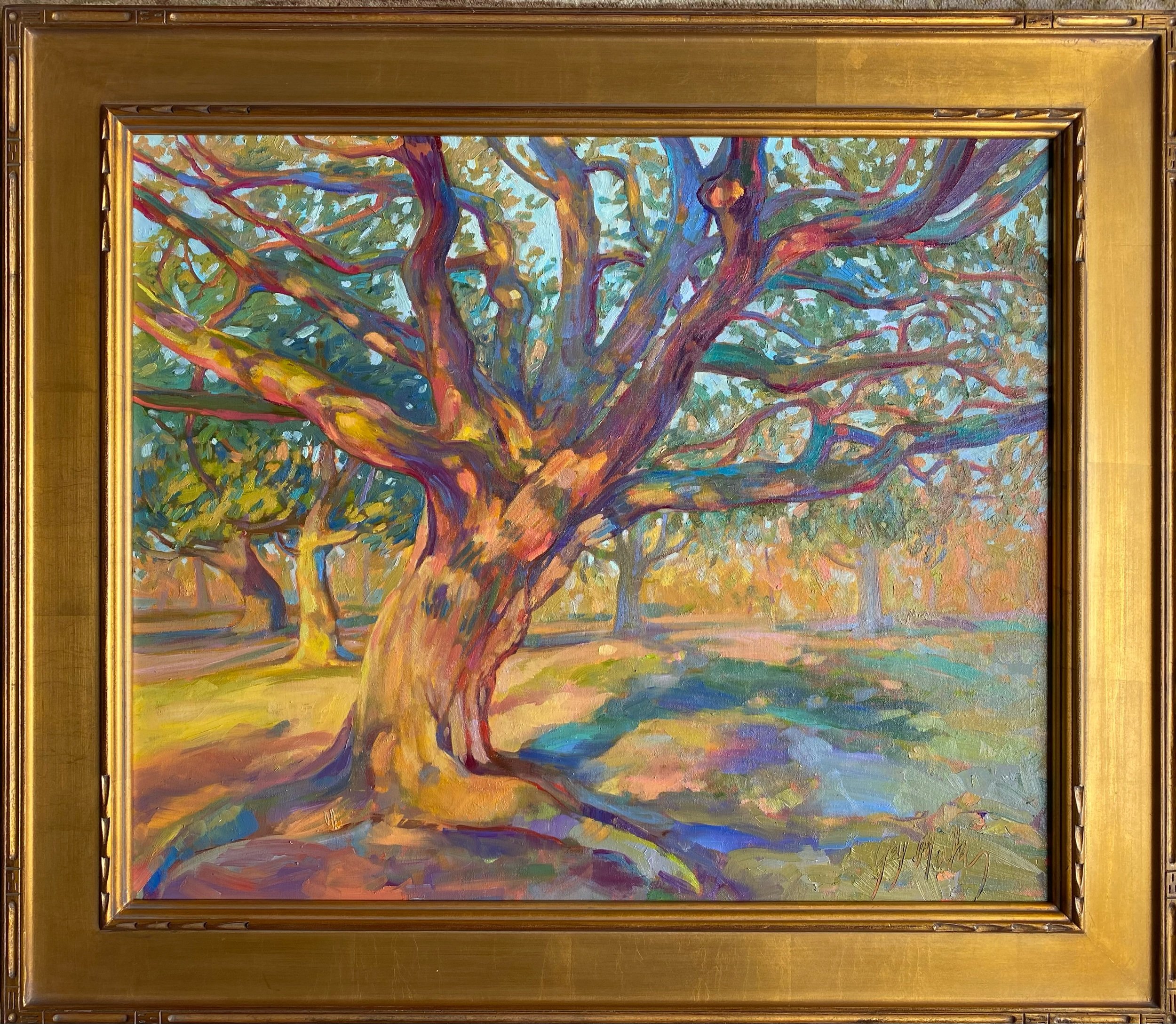 “LIVE OAK IN THE MORNING LIGHT”