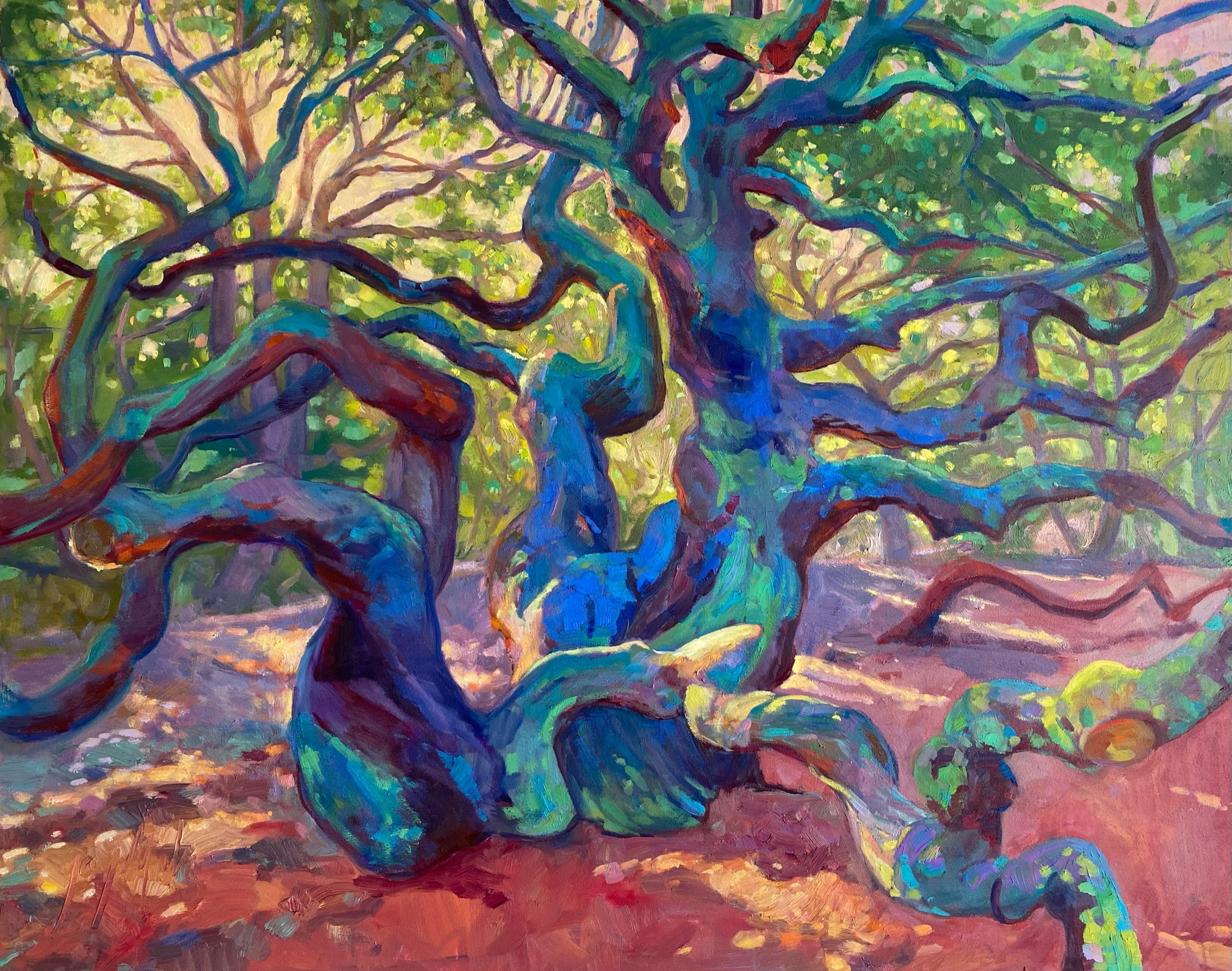 LIVE OAK LIGHT
