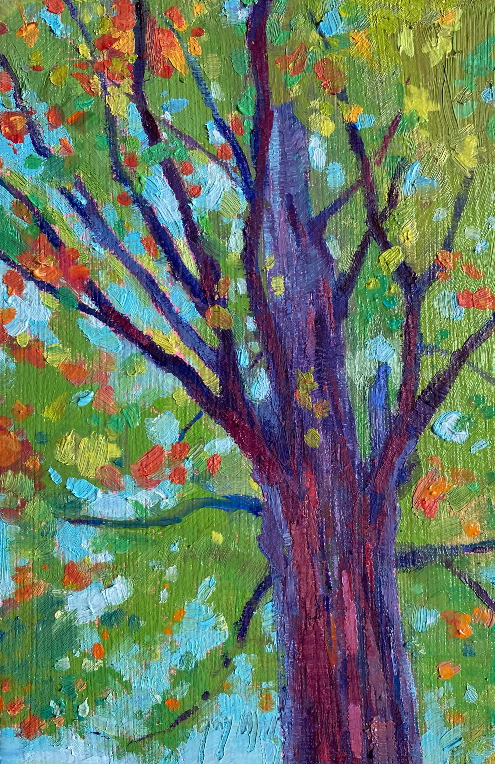 “A MIGHTY MAPLE ”