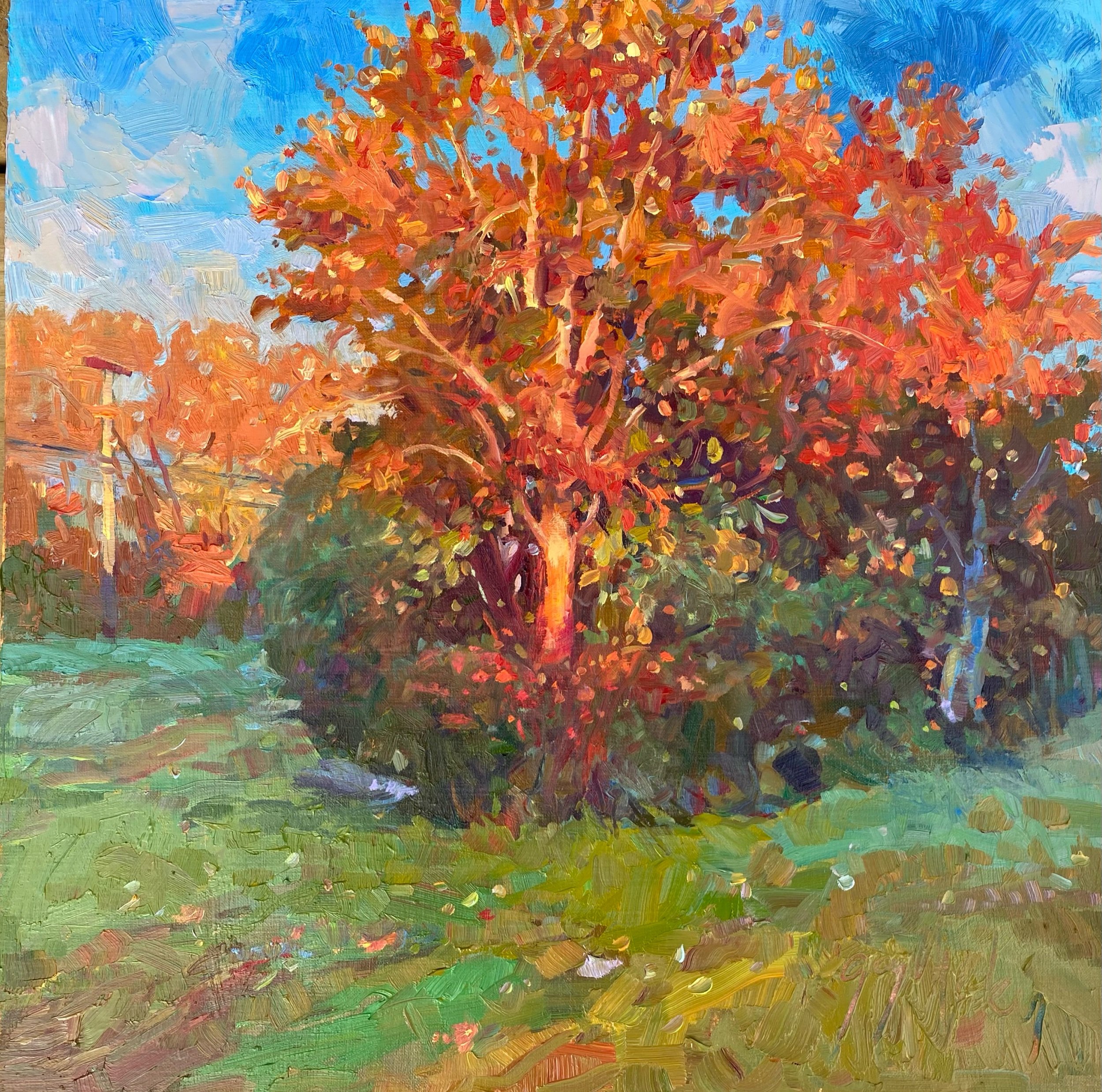 “AUTUMN SHIMMER”