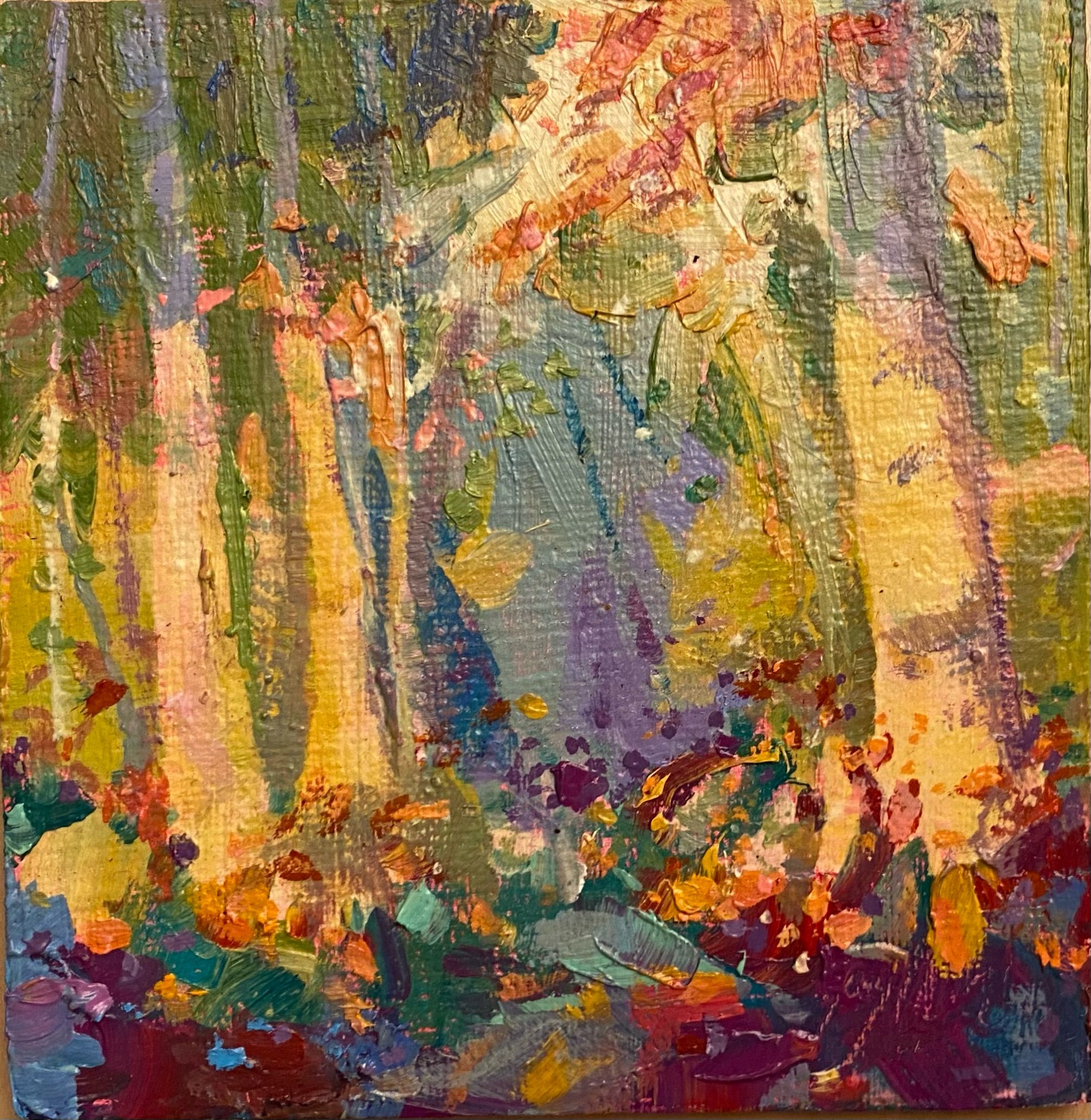 A LIGHTENED TRAIL