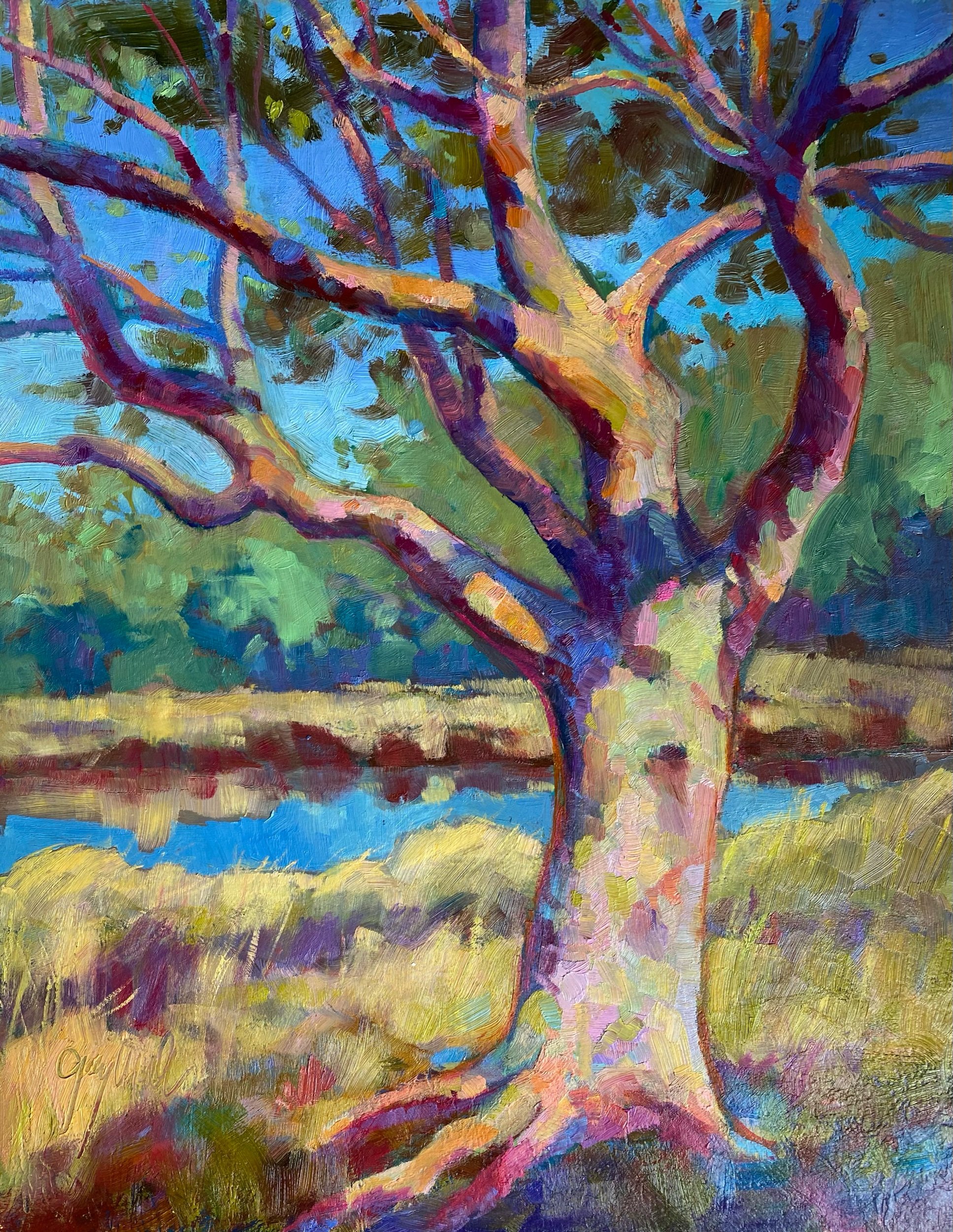 “LIVE OAK VI