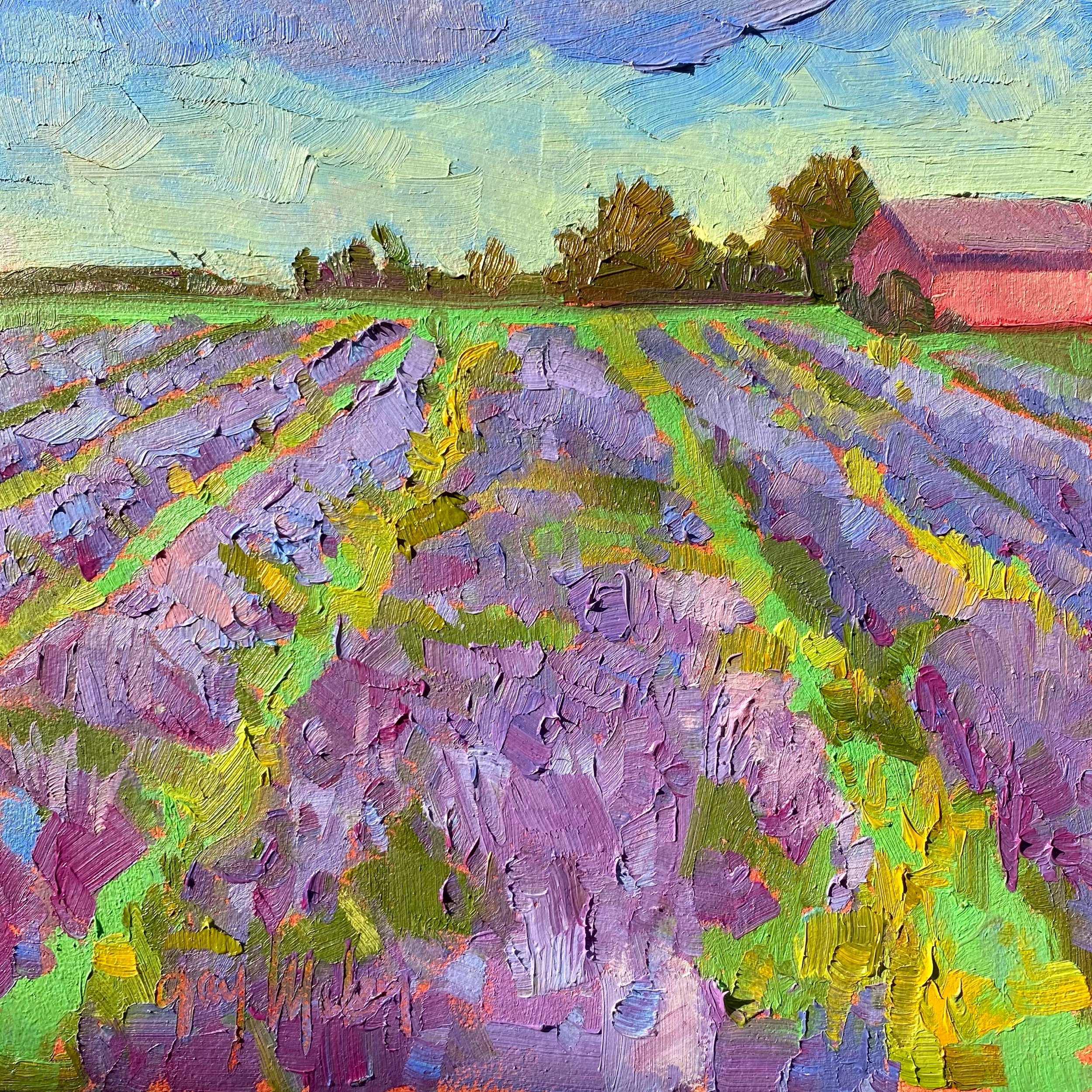 FRAGRANT LAVENDER