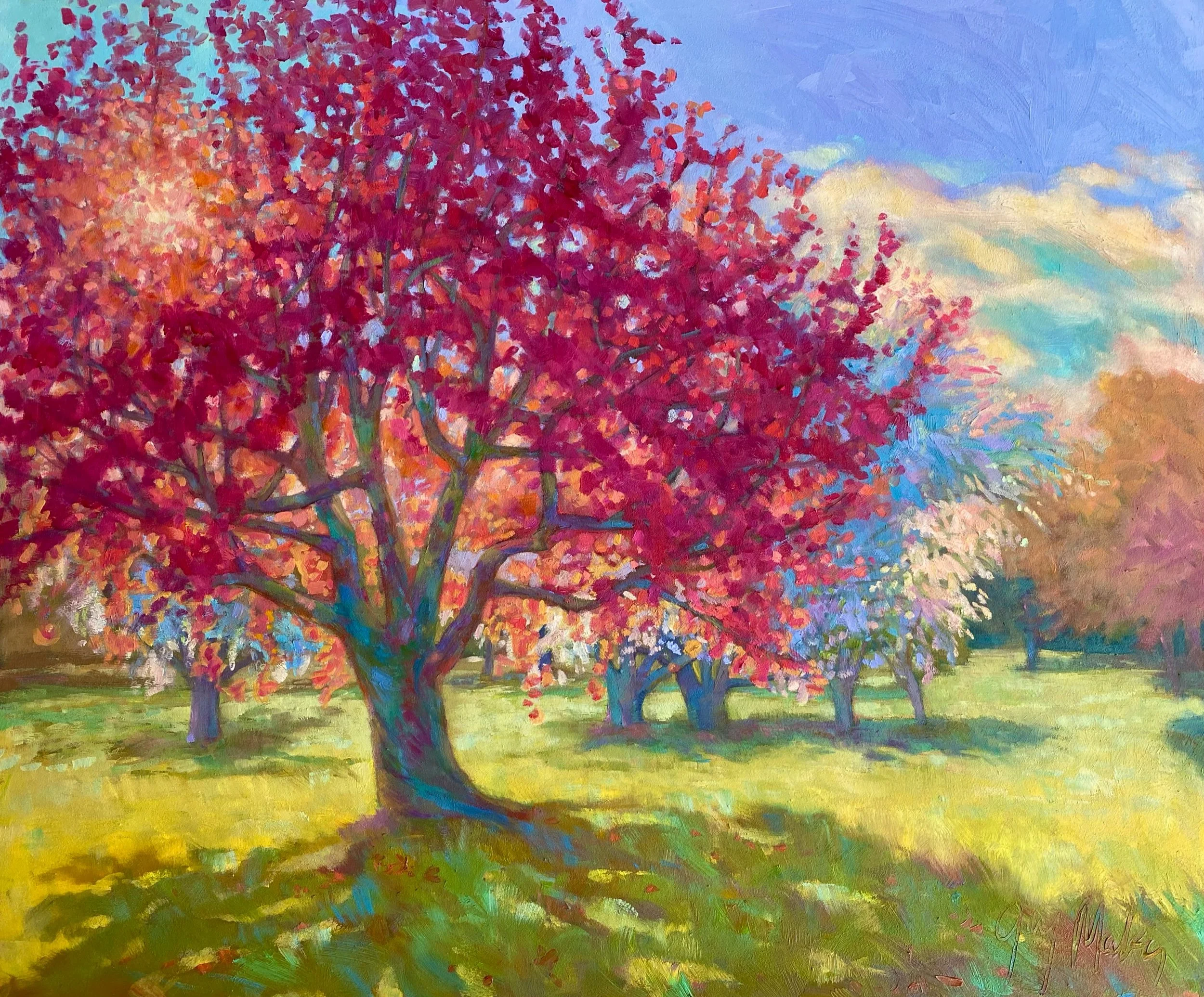 “THE ARBORETUM”