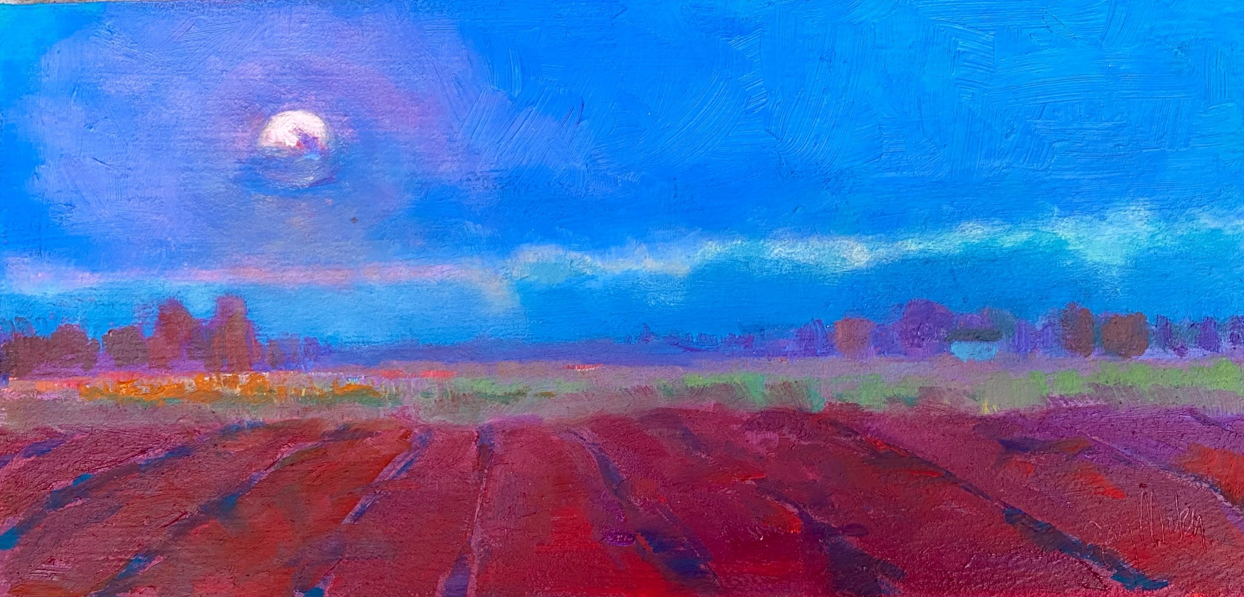 “SPRING MOON”