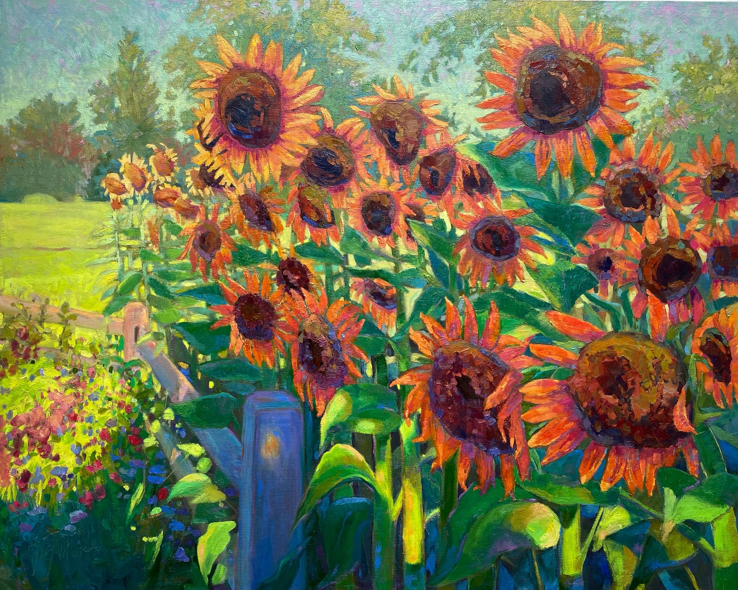 SUNFLOWERS IN THE MORNING