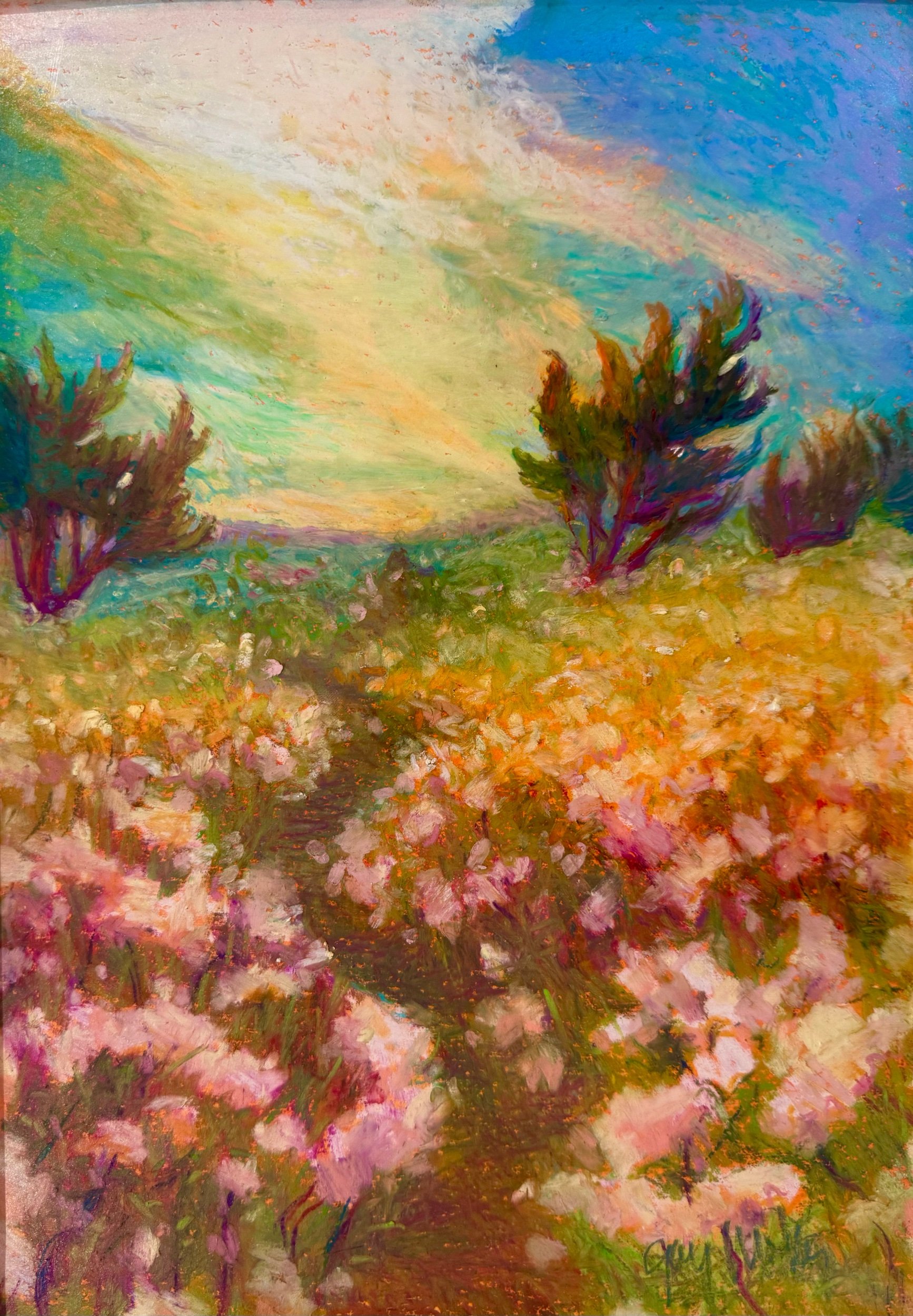 MORNING IN THE DUNES