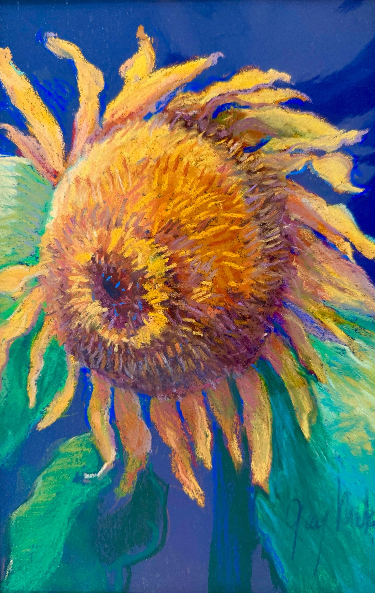 SUNFLOWER lll