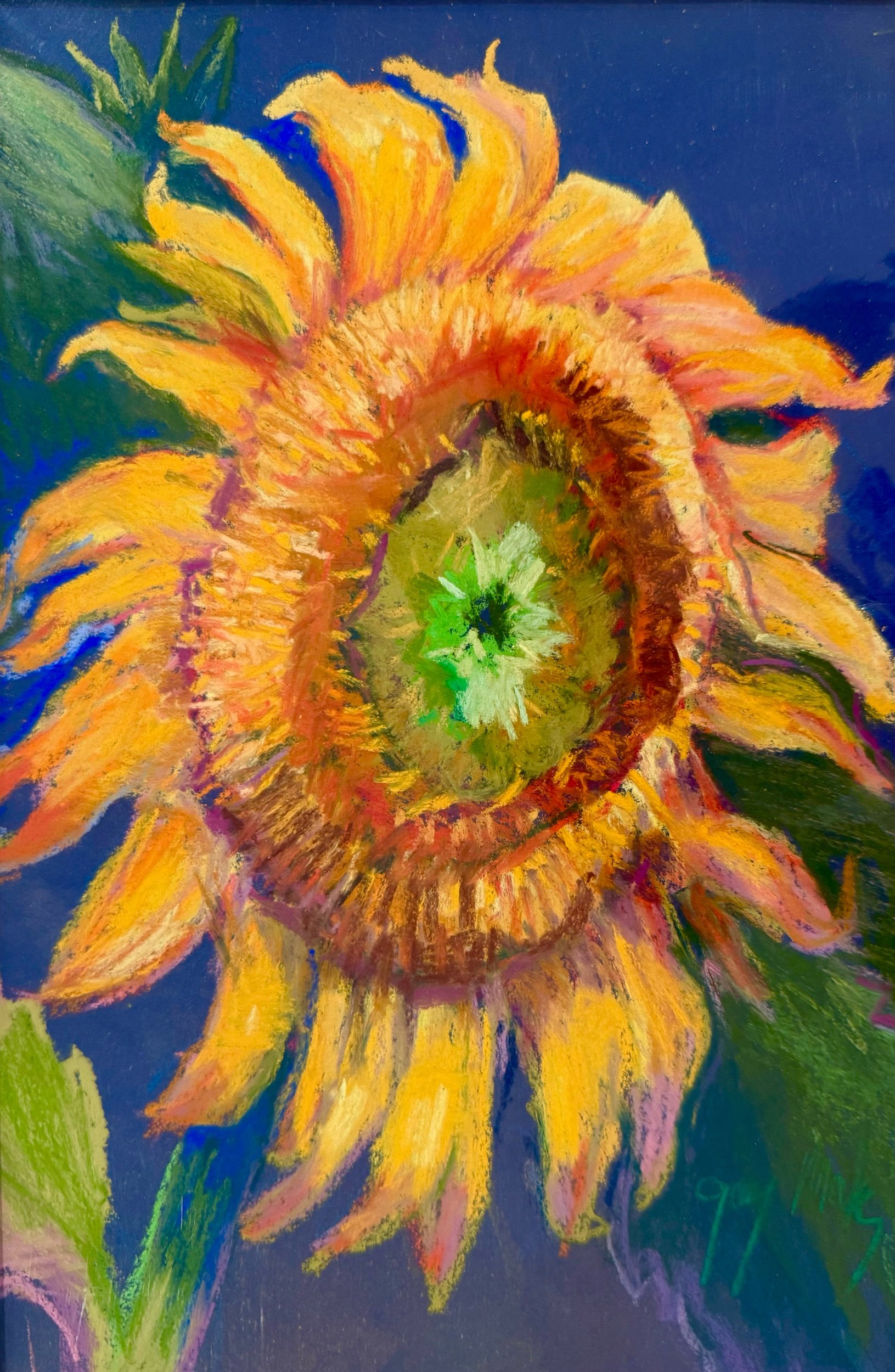 SUNFLOWER II
