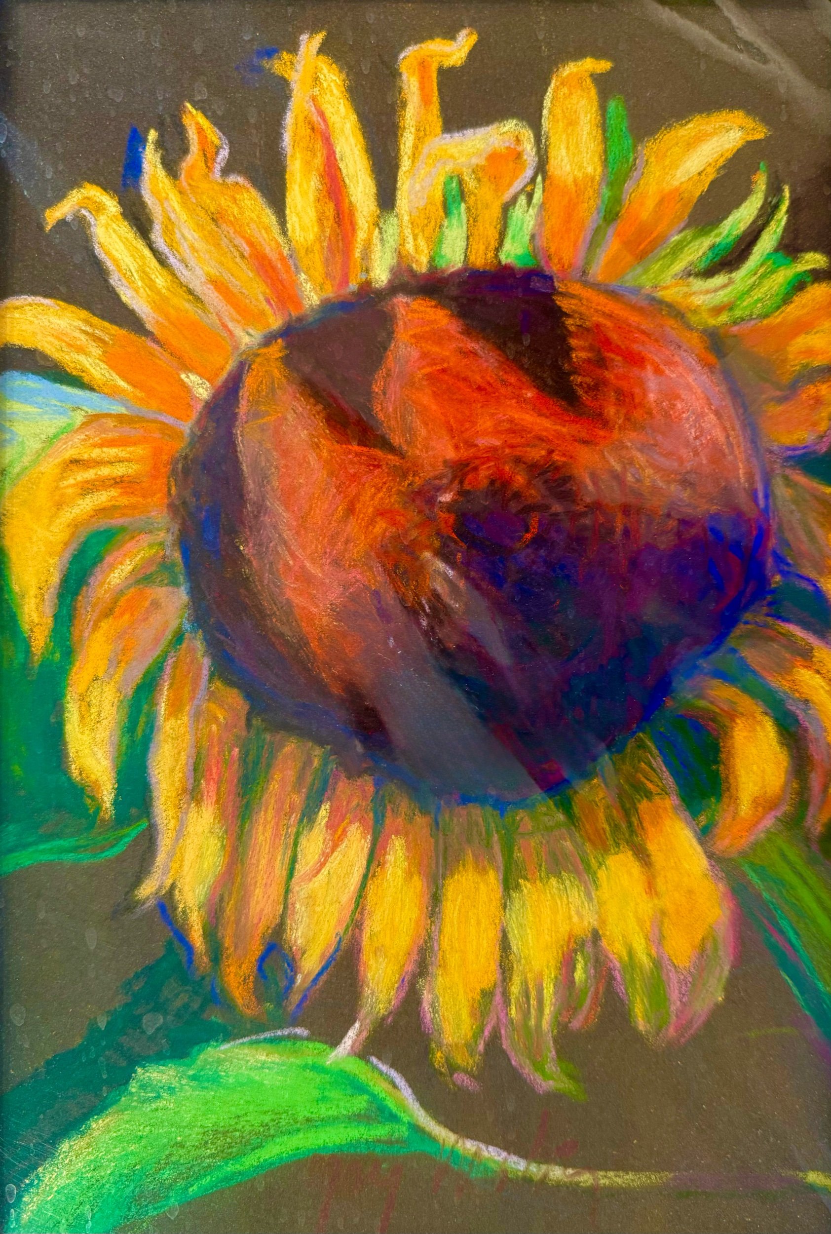 SUNFLOWER l