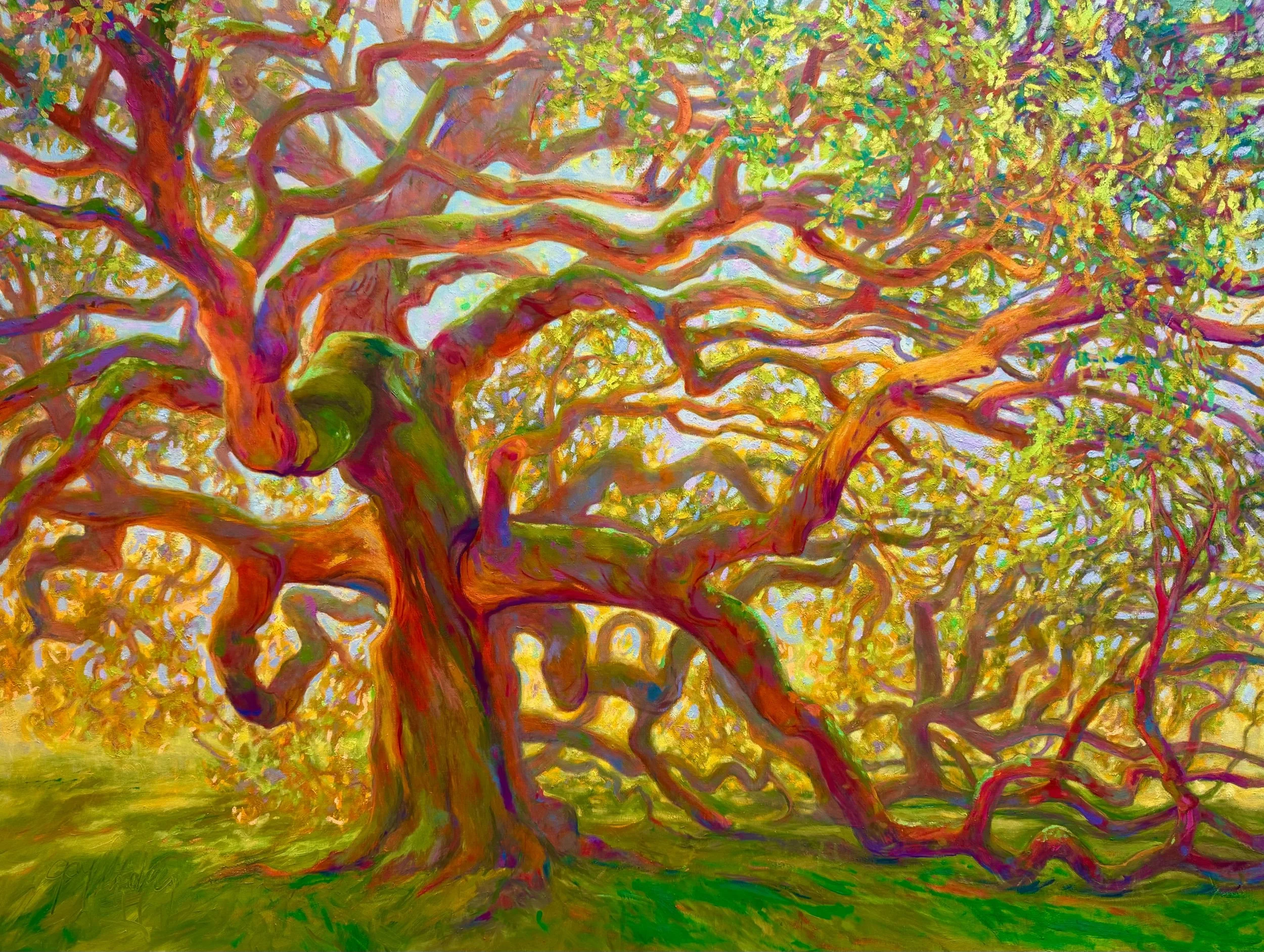 EMANCIPATION OAK