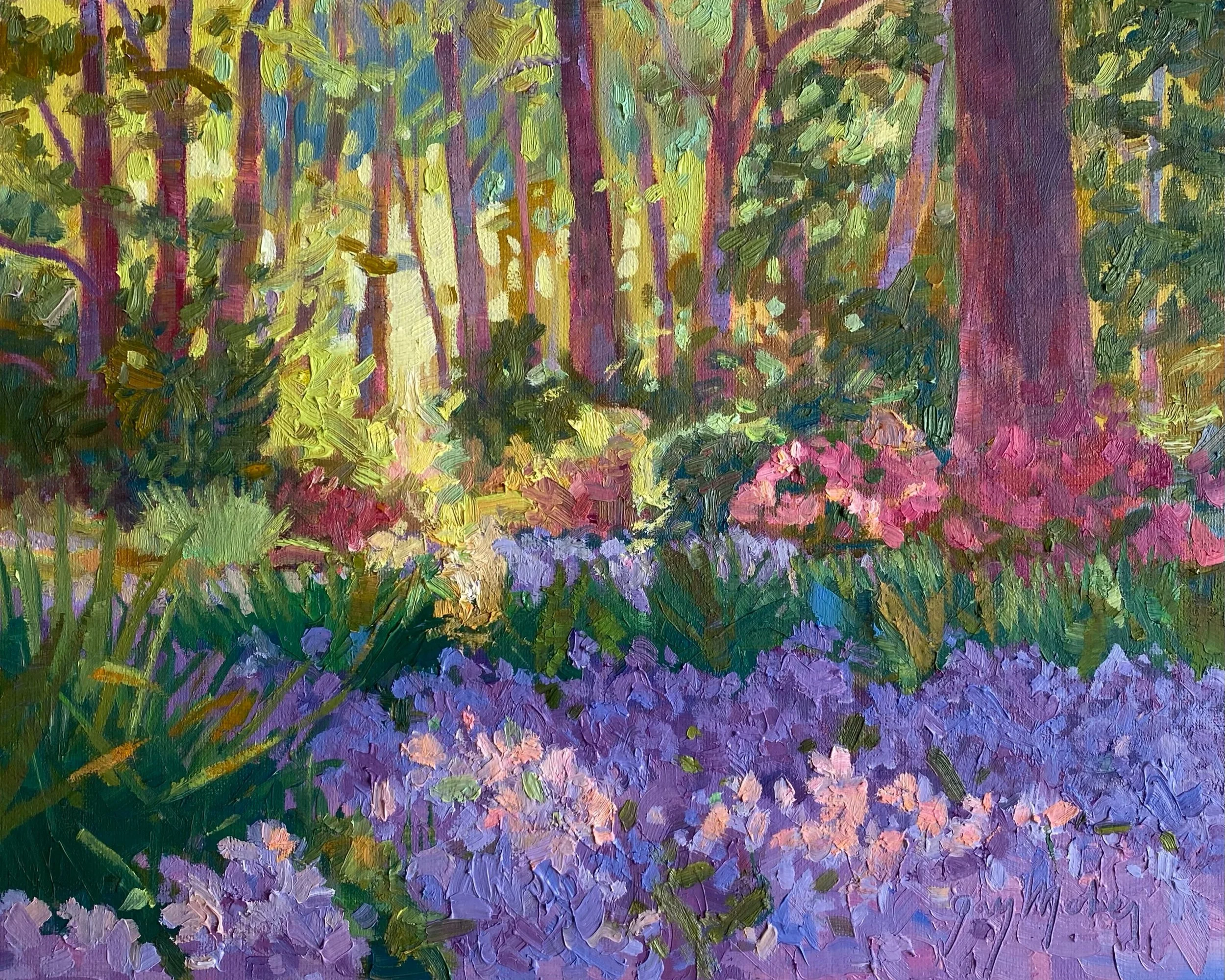 SPRING COMES TO THE FOREST
